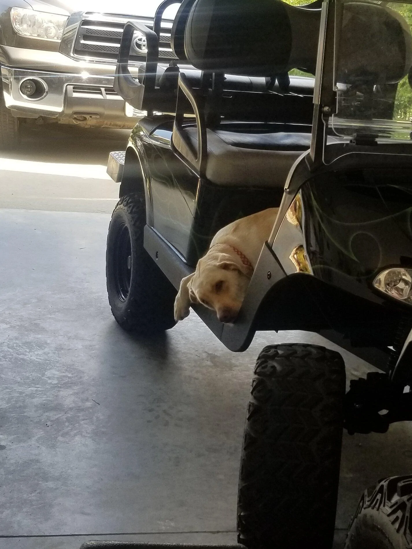Ford Bronco The Dog Thread 🐾 20190807_134811