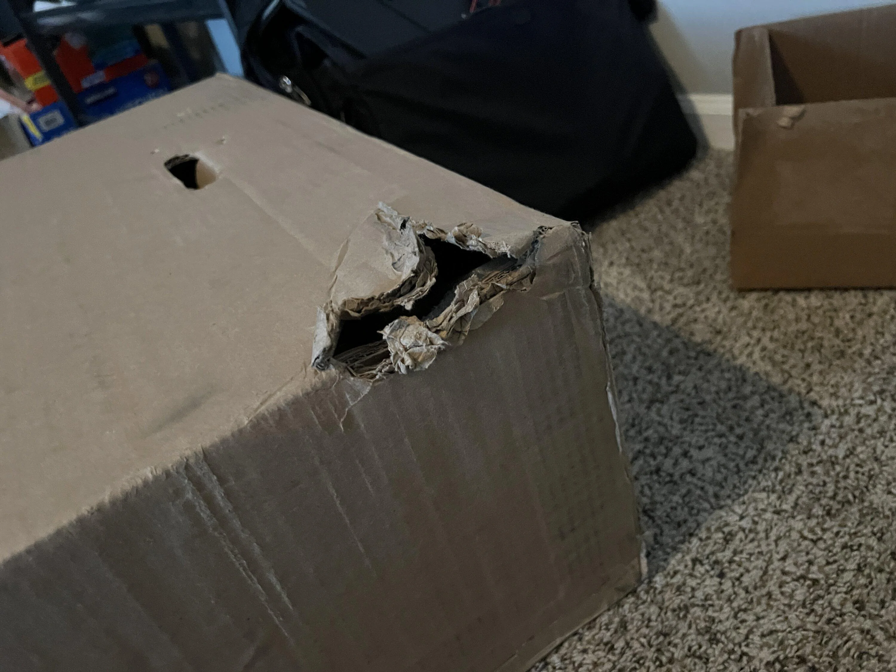 Ford Bronco Bestop needs to package their shipments better... F6E0642A-3306-4E93-A04C-08A9AE48E786