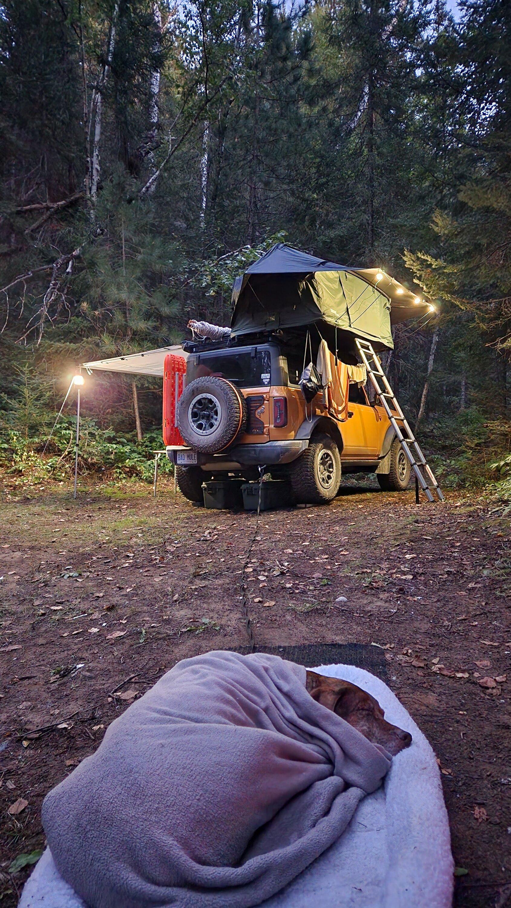 Ford Bronco Video Premiere! Bad Mule Bronco goes overlanding on Crown Land w/ my dog Jackson 20220903_202628
