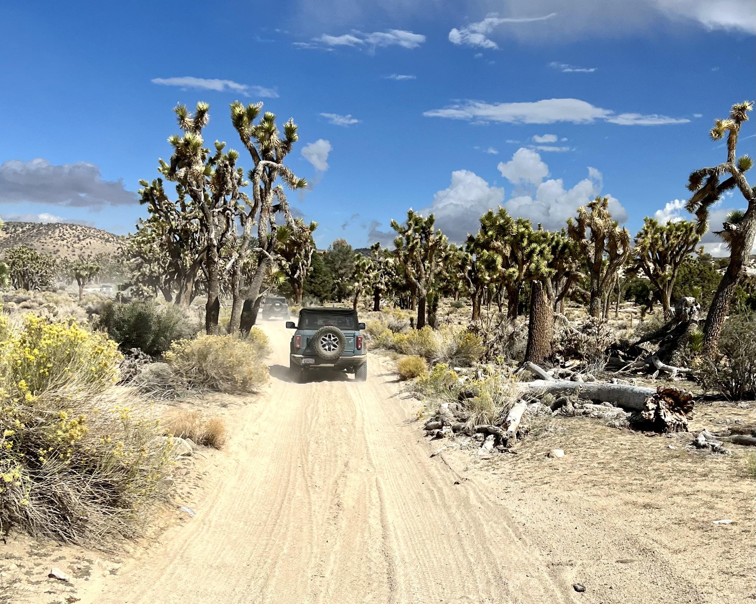 Ford Bronco 50+ Broncos offroad through Rattlesnake Canyon (Apple Valley) to Pioneer Town (Yucca Valley) Photo Sep 24 2022, 2 30 49 PM