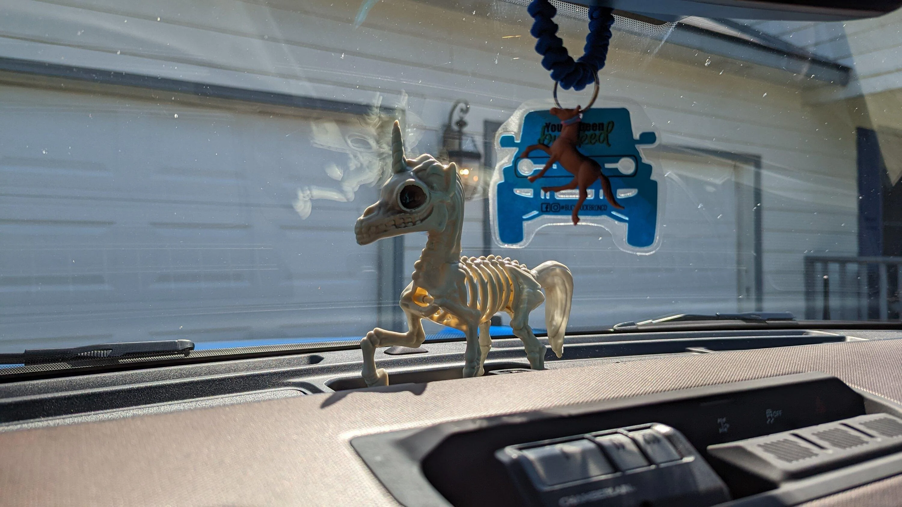 Ford Bronco Jazer's Blu Pony PXL_20220926_183058391