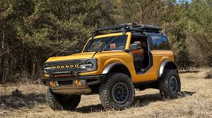 Ford Bronco Roadster Doors options? 1664283525604