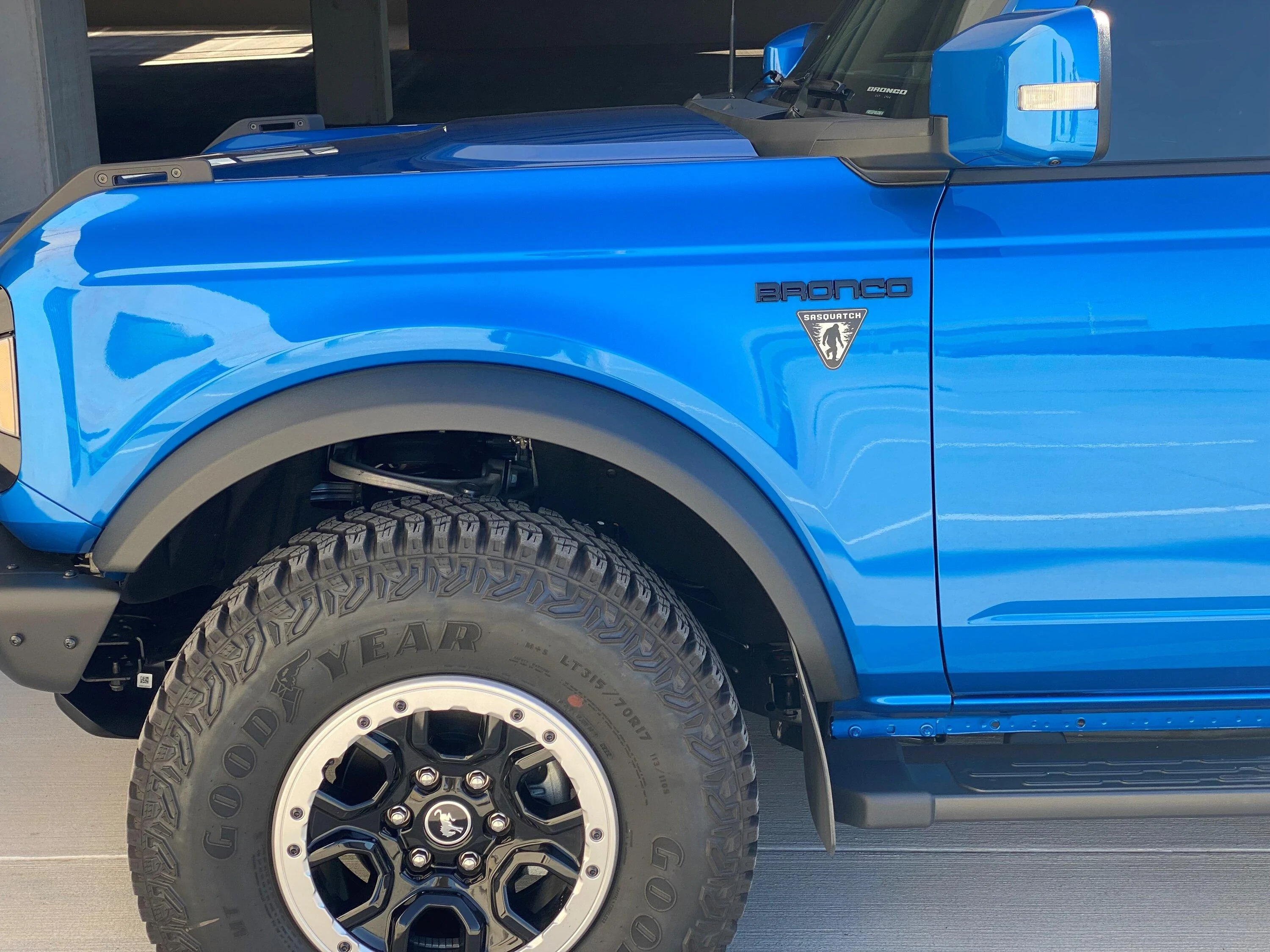 Ford Bronco Badges? 2