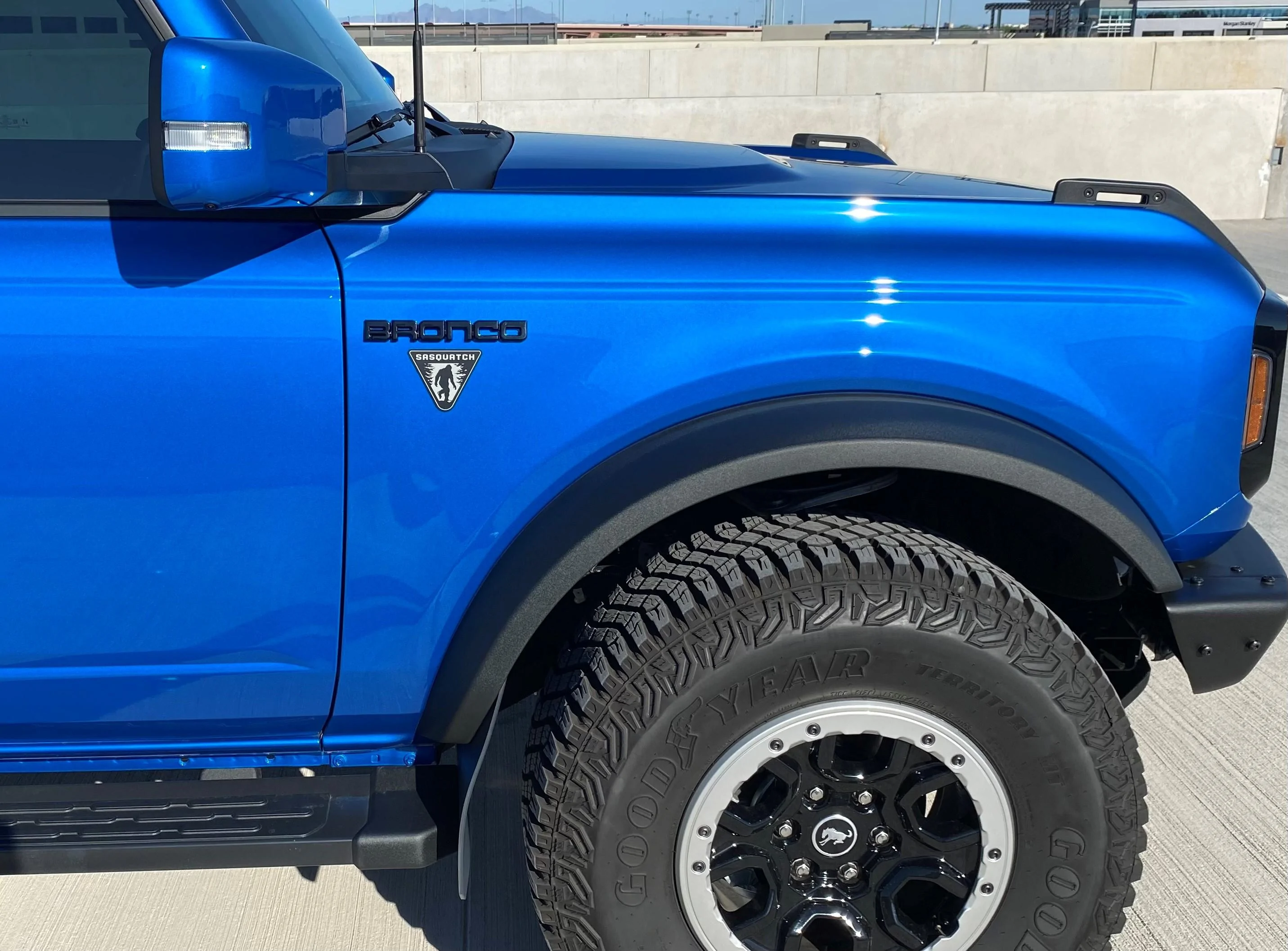 Ford Bronco Badges? 6