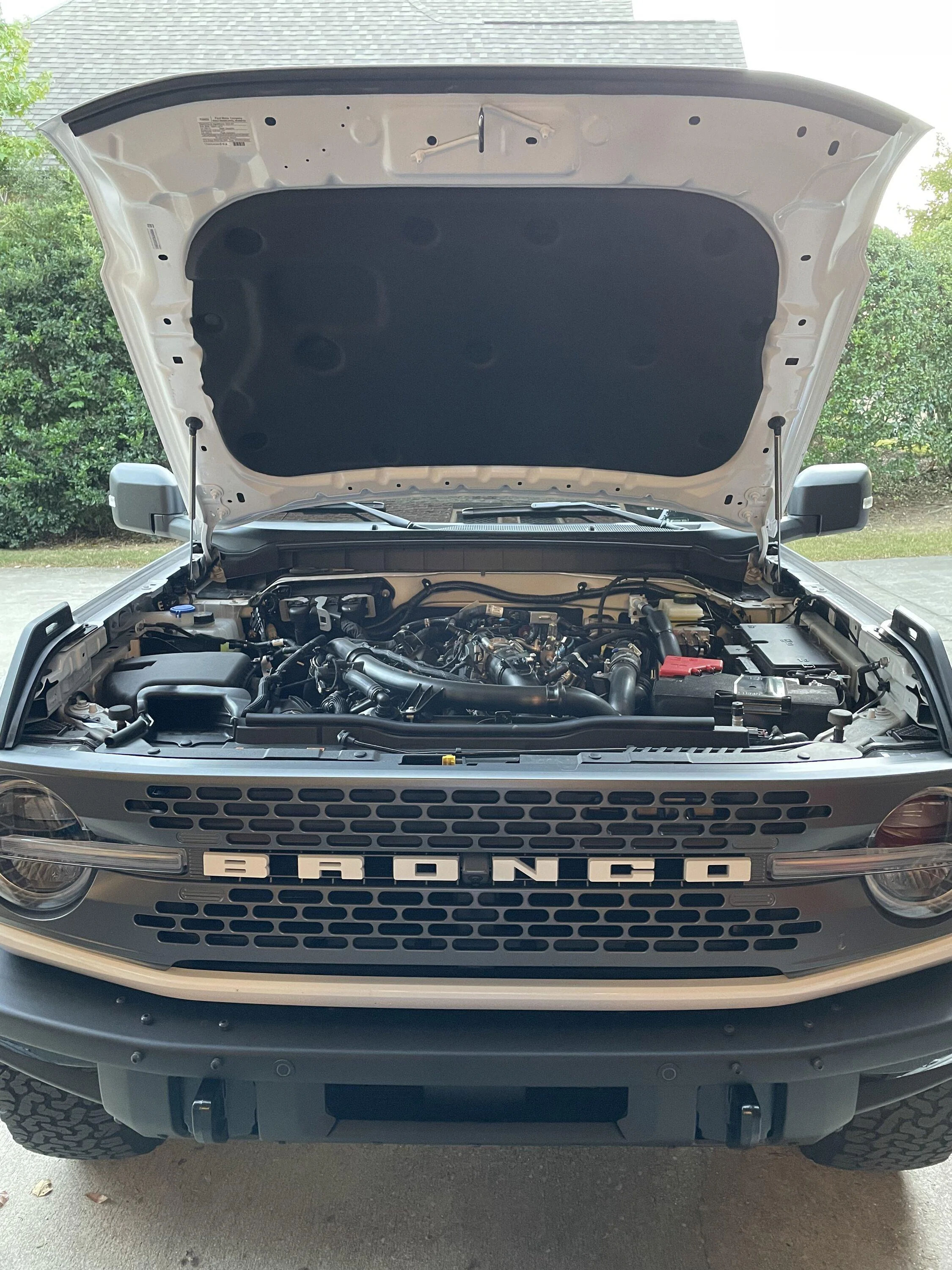 Ford Bronco Hood struts: which ones to get? 11C1FC58-BB46-4831-B5A8-F4F27236B4DC