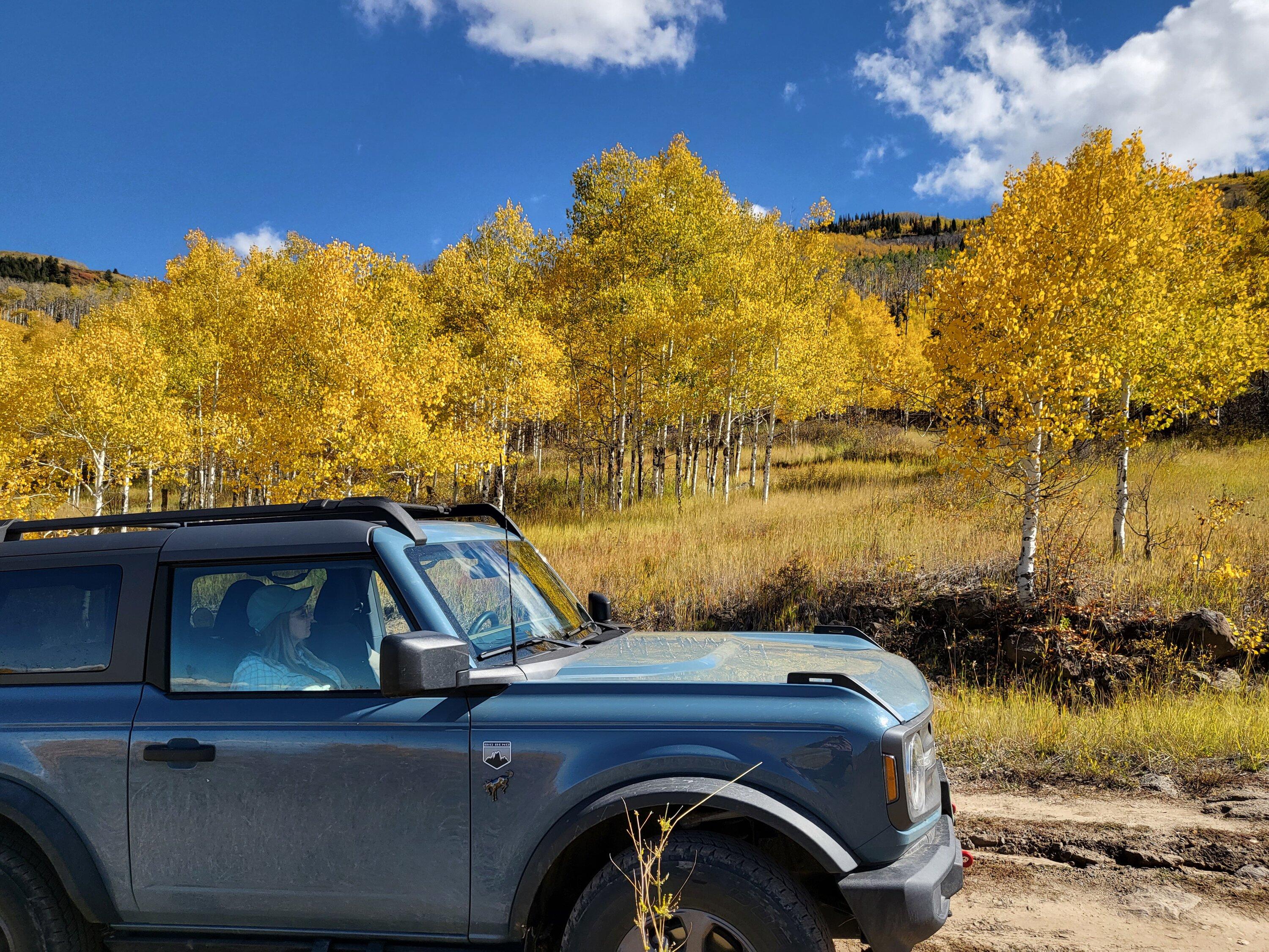 Ford Bronco What did you do TO / WITH your Bronco today? 👨🏻‍🔧🧰🚿🛠 20221006_132746