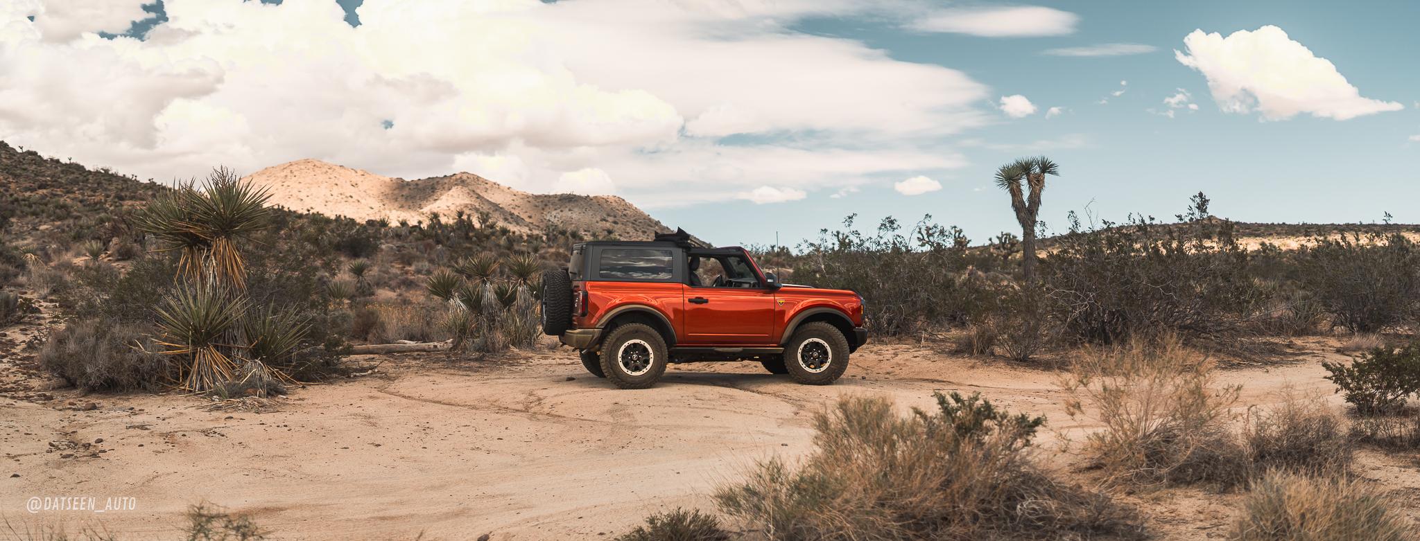 Ford Bronco Joshua Tree - Berdoo Canyon and Old Dale Road - 2 Door Bronco Solo Trip. DSC04439-Pano