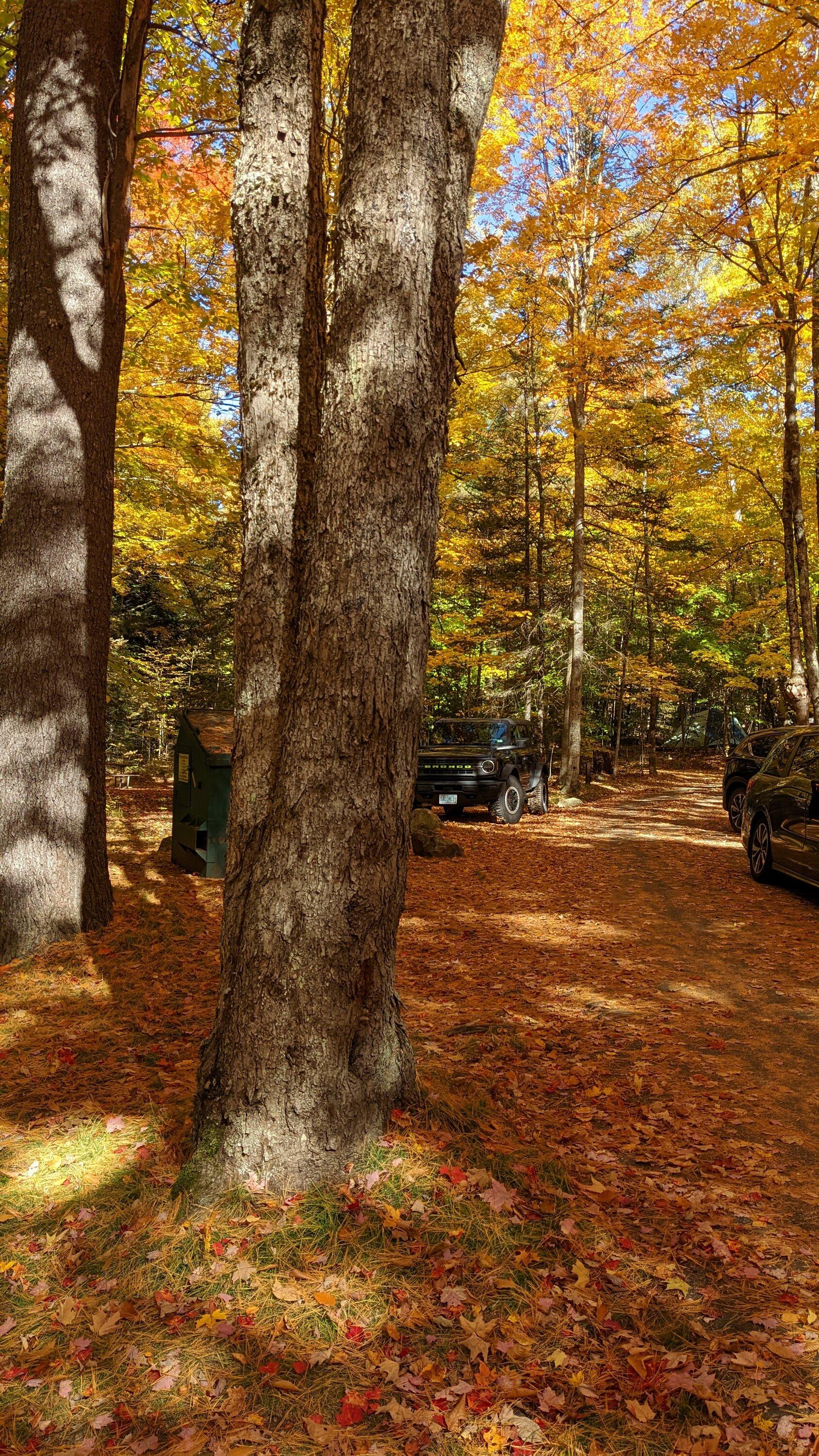 Ford Bronco 🍂 Show me your Fall (Autumn) Photos! I’ll start. PXL_20221008_182642877.MP