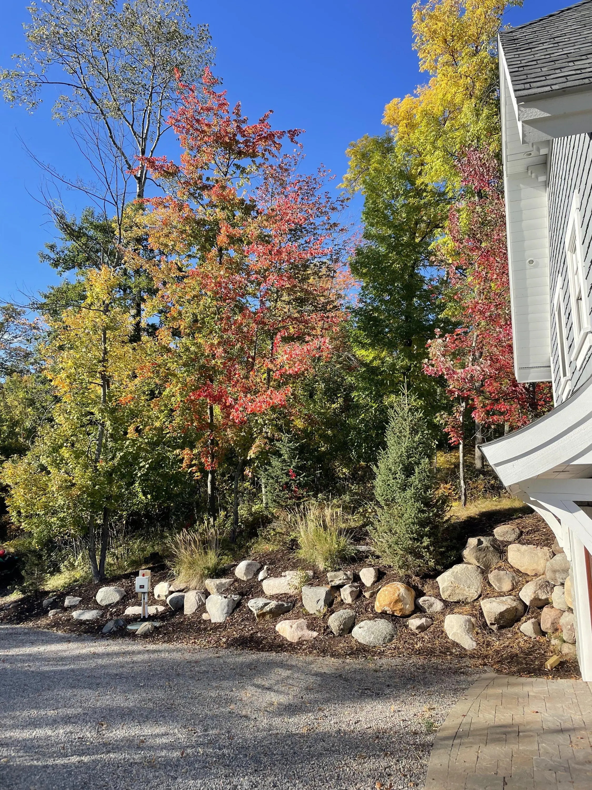 Ford Bronco 🍂 Show me your Fall (Autumn) Photos! I’ll start. 747A44F4-864B-4D37-86E0-EE8BA0FA4D6A