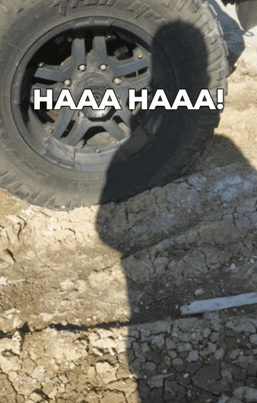 1440d678-0e65-4900-83d0-250ad0705255.gif