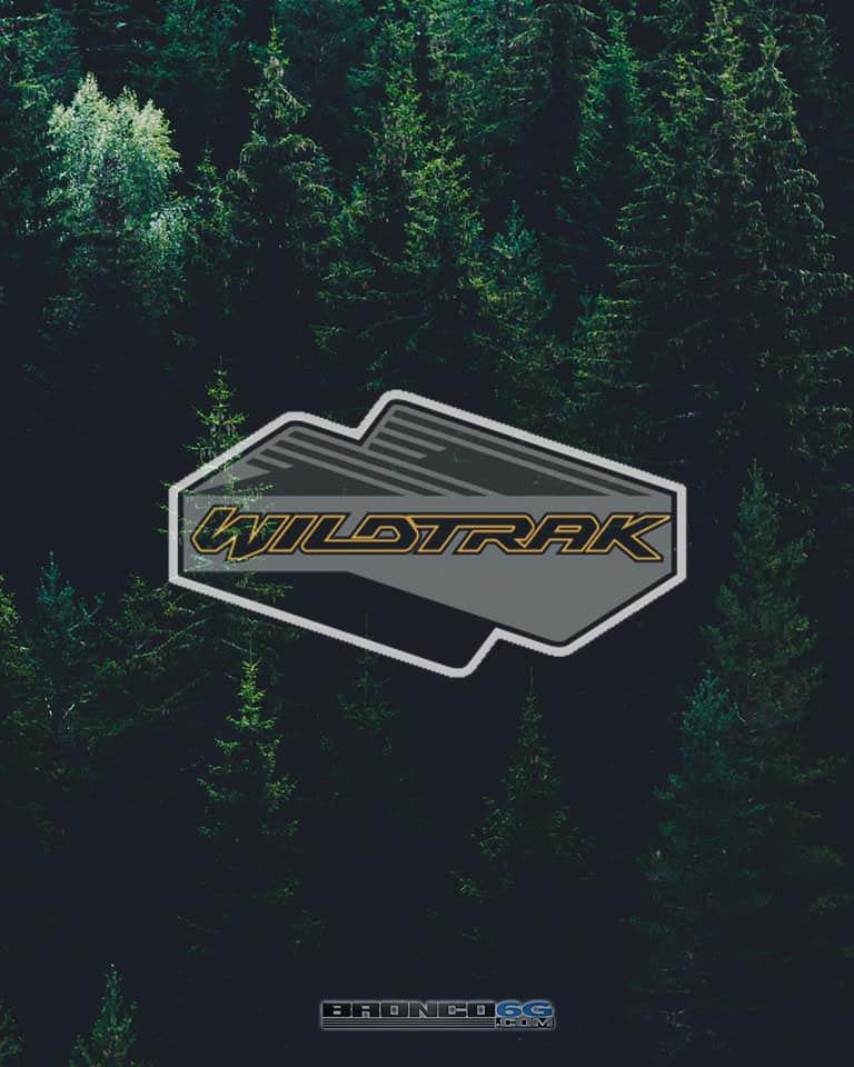 Ford Bronco Phone Wallpapers For Your Bronco Trim Phone Wallpaper 2021 Ford Bronco Wildtrak