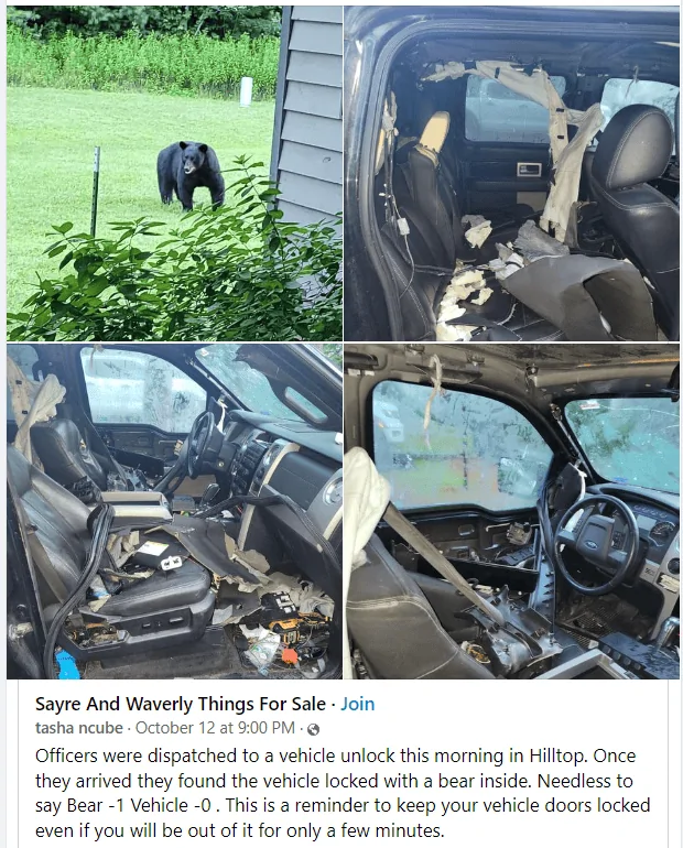Ford Bronco Squirrels are a$$holes 1665773154284