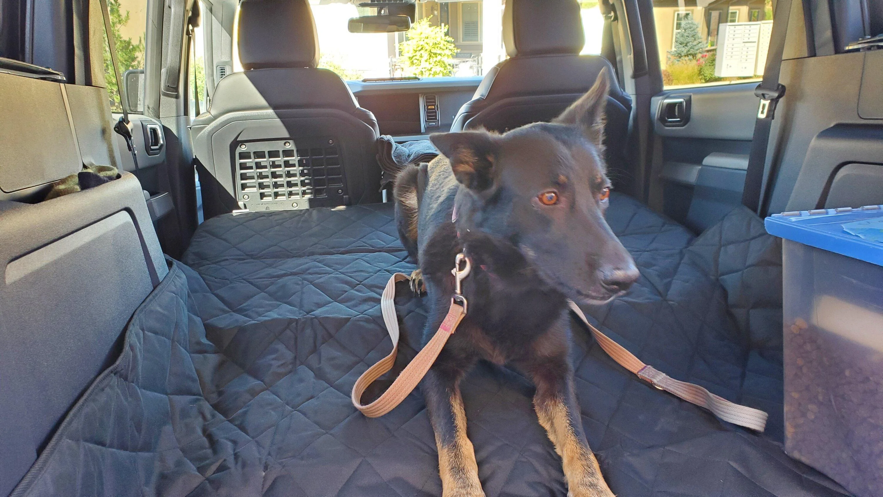 Ford Bronco 4Knines Pet Cargo Liner 20221013_120811