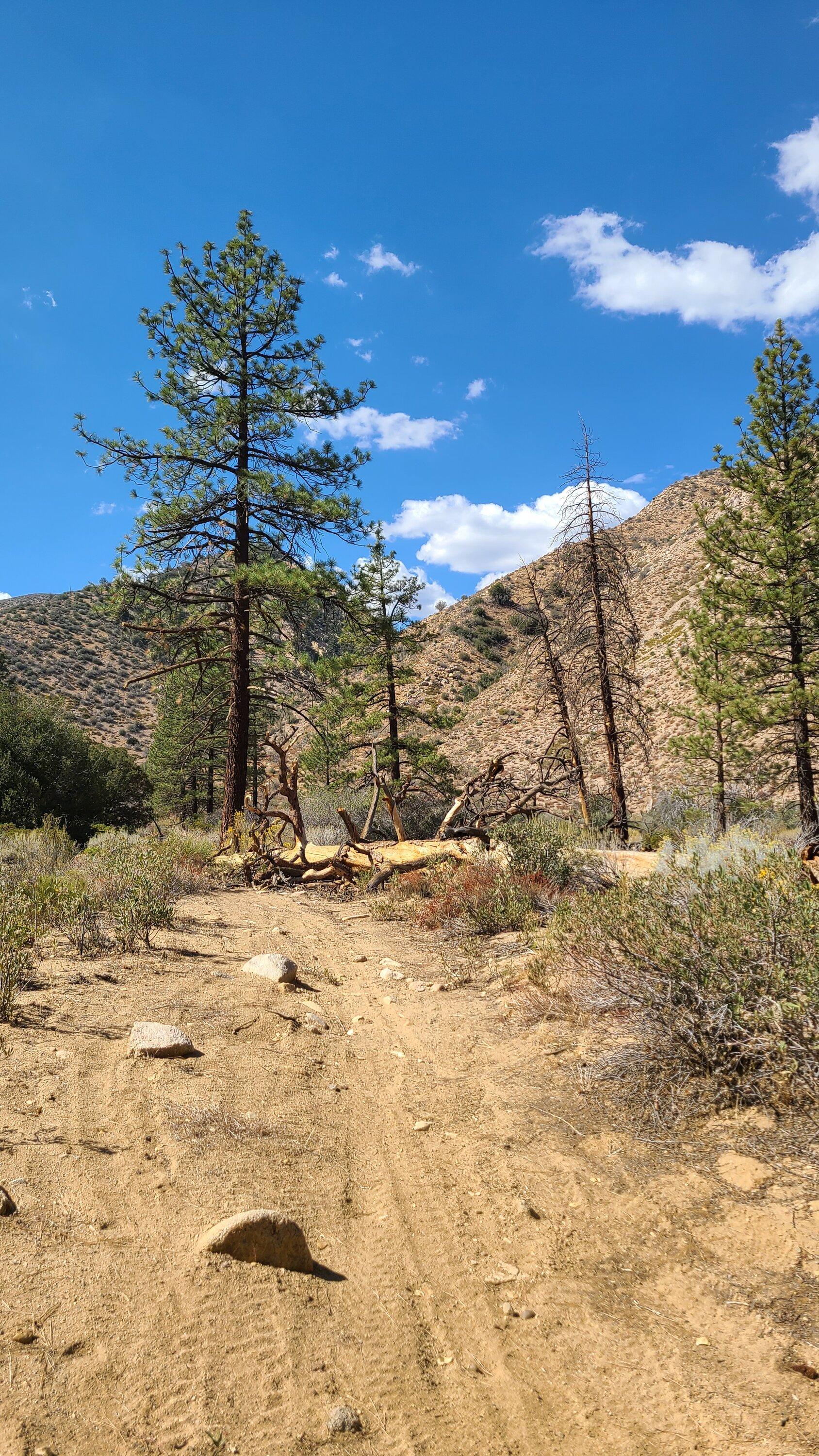 Ford Bronco Trail Report: Lockwood Creek / Miller Jeep Run 10/15/22 20221015_124152