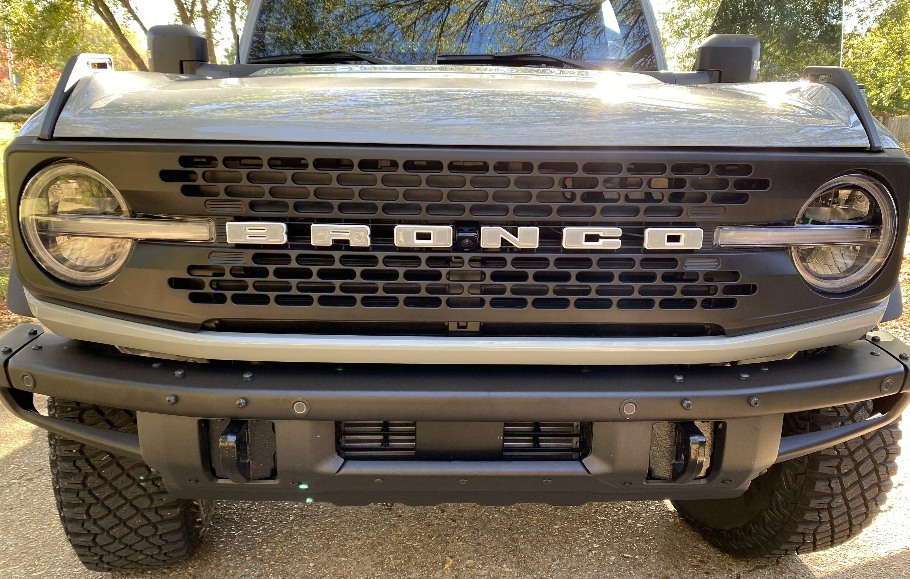 Ford Bronco Updated: Wildtrak HyperDip Grille IMG_5742