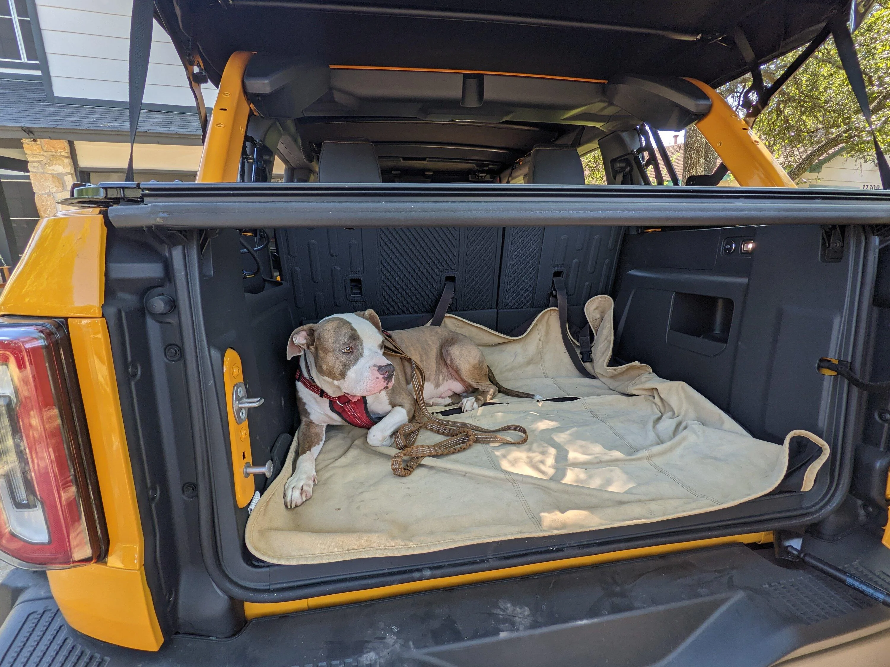 Ford Bronco Dog Options? PXL_20221013_170210045