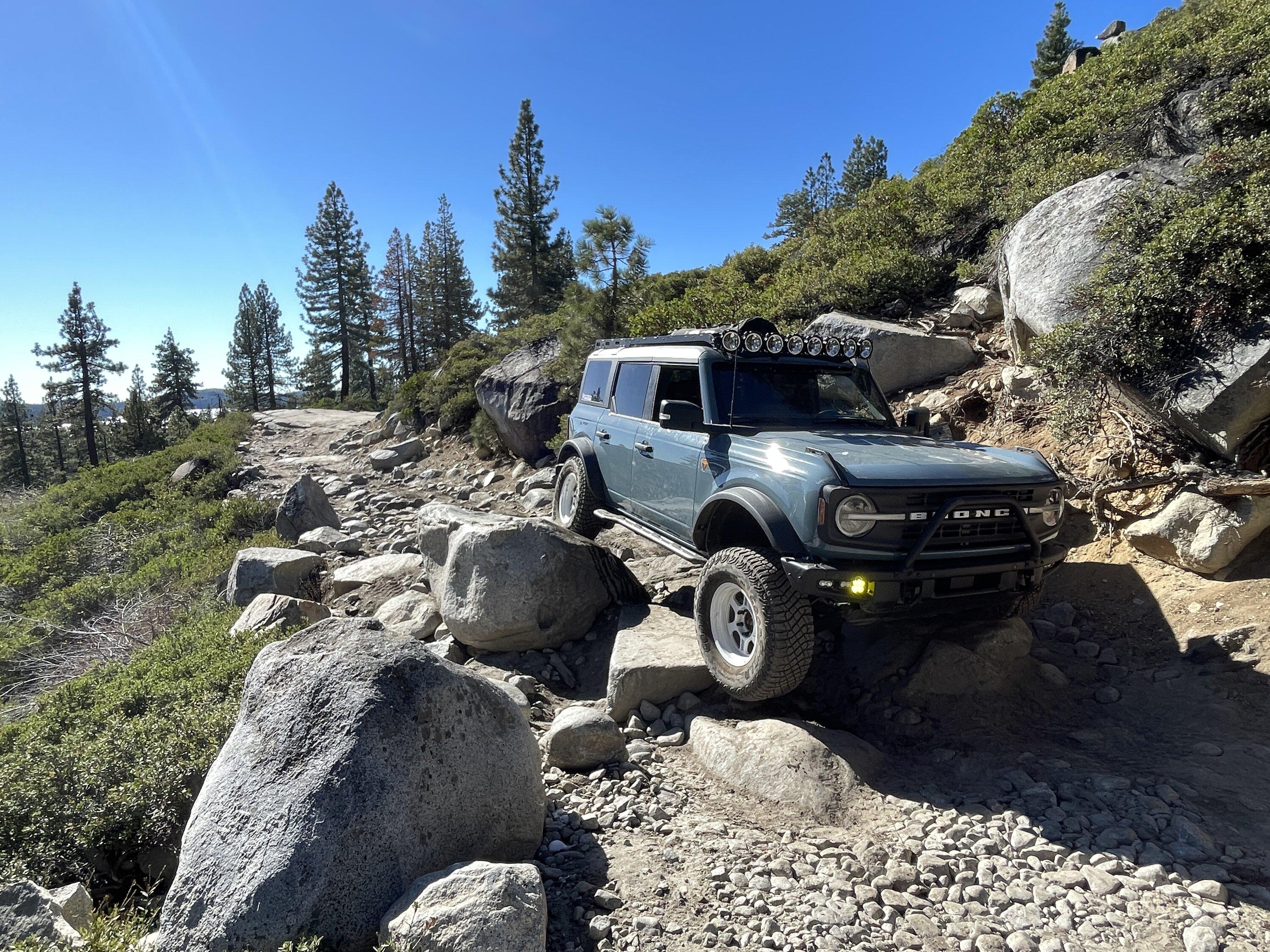 IMG_3556.JPG