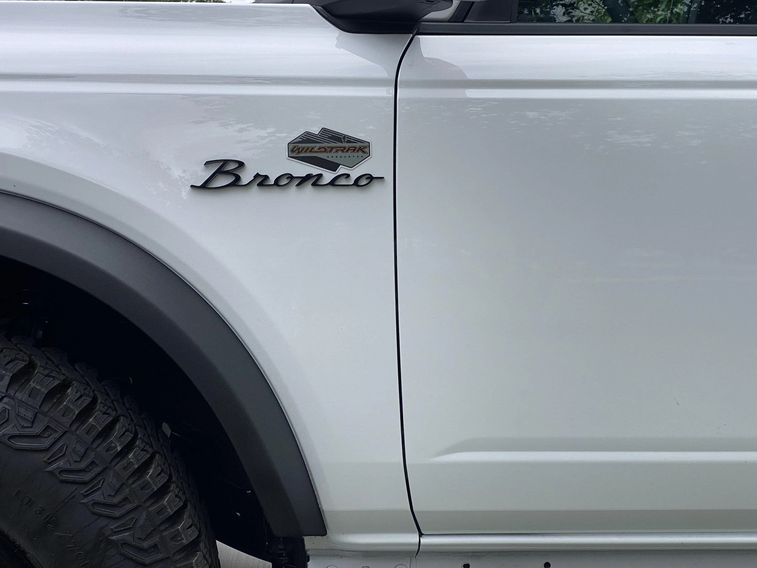 Ford Bronco Retro/new emblems 357506BC-D0B1-49A6-A245-702BADAFD68D