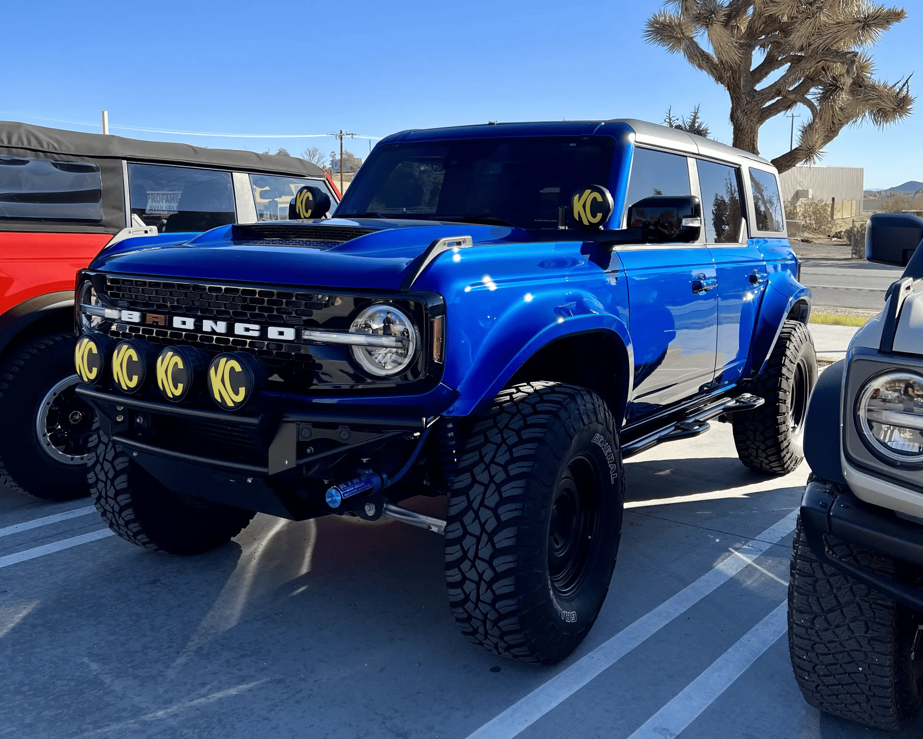 Ford Bronco Johnson Valley / Bronco Knoll Off-Roading With 25+ Broncos tempImageNjMxPK