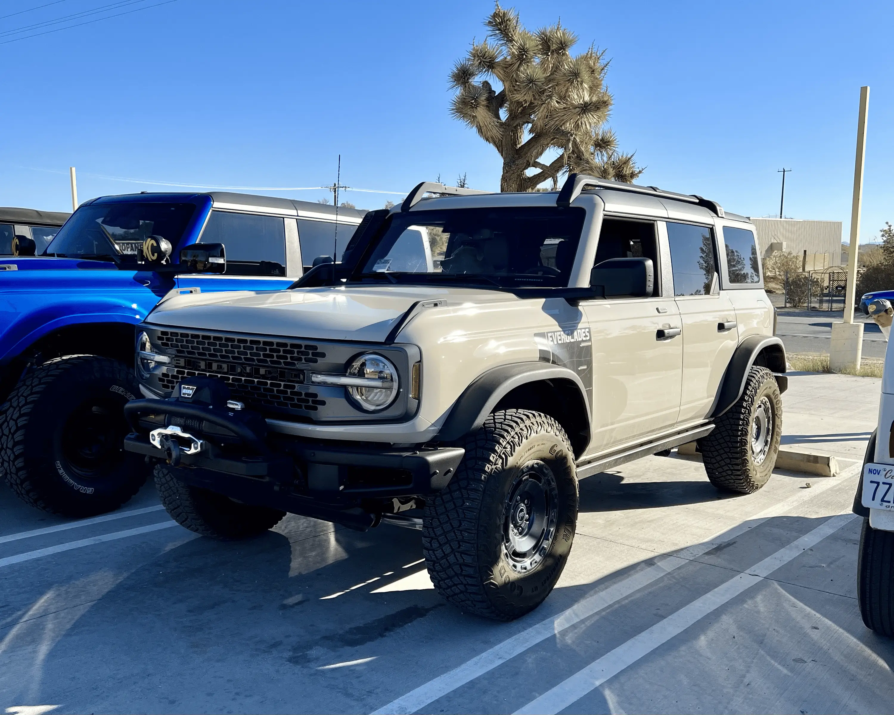 Ford Bronco Johnson Valley / Bronco Knoll Off-Roading With 25+ Broncos tempImagebLYCSZ