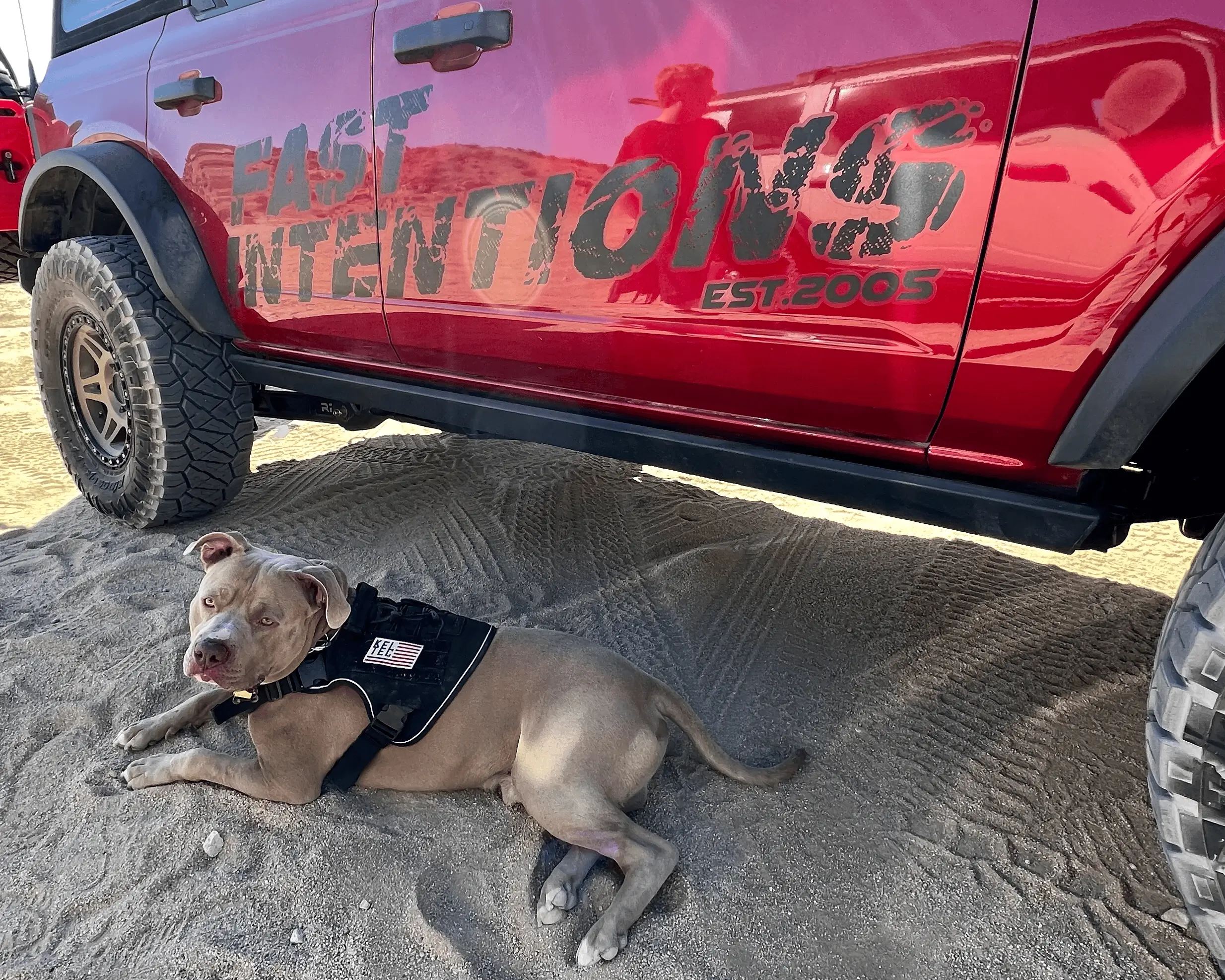 Ford Bronco Johnson Valley / Bronco Knoll Off-Roading With 25+ Broncos tempImageNbGSLY