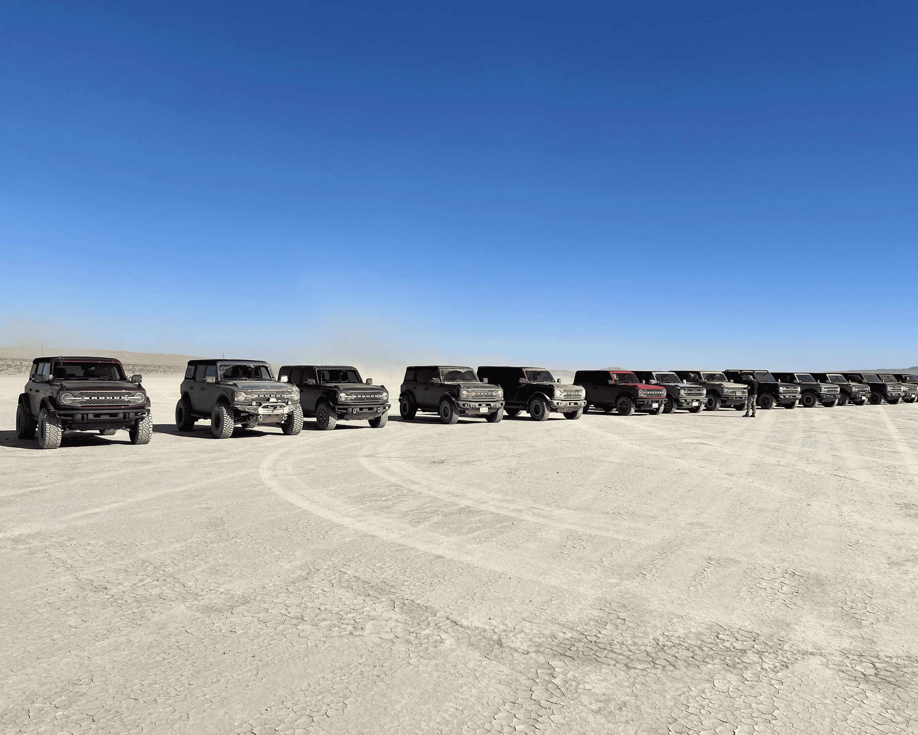 Ford Bronco Johnson Valley / Bronco Knoll Off-Roading With 25+ Broncos tempImagevedSzW
