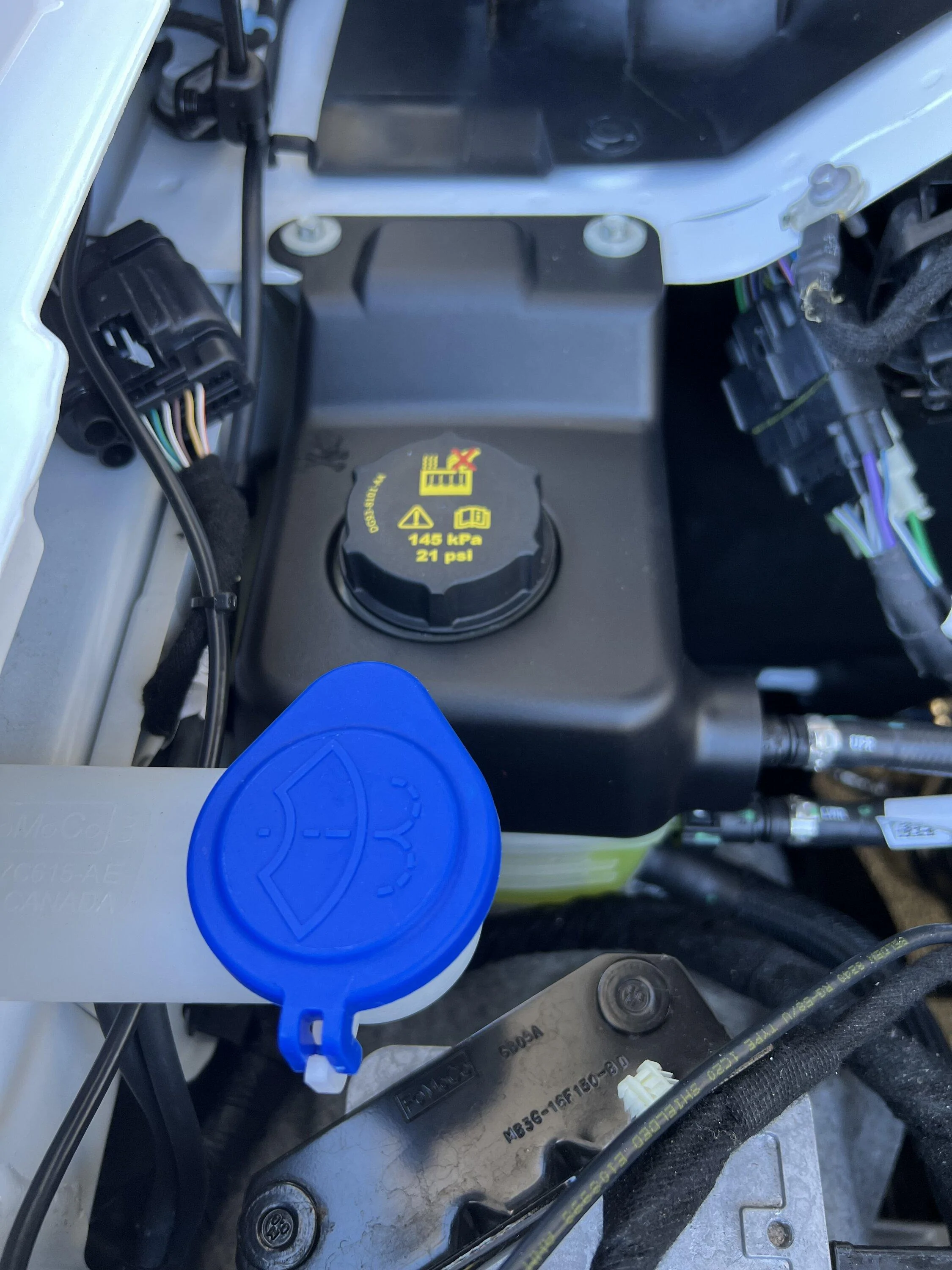 Ford Bronco What did you do TO / WITH your Bronco today? 👨🏻‍🔧🧰🚿🛠 engine-jpg