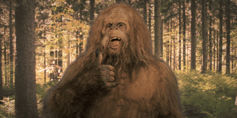 Ford Bronco To squatch or not to squatch? 1601389420015