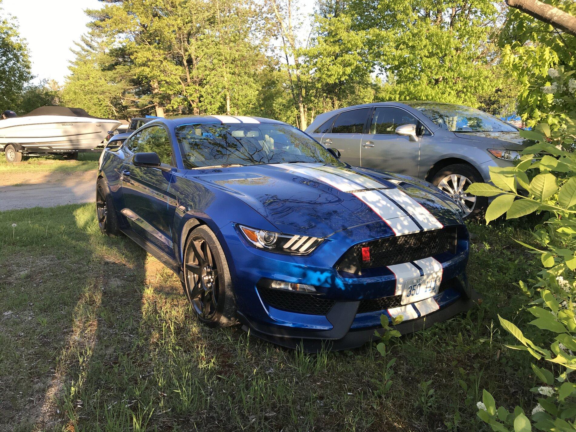 B0318A71-0149-4AA8-93B5-658CCF430D84.jpeg
