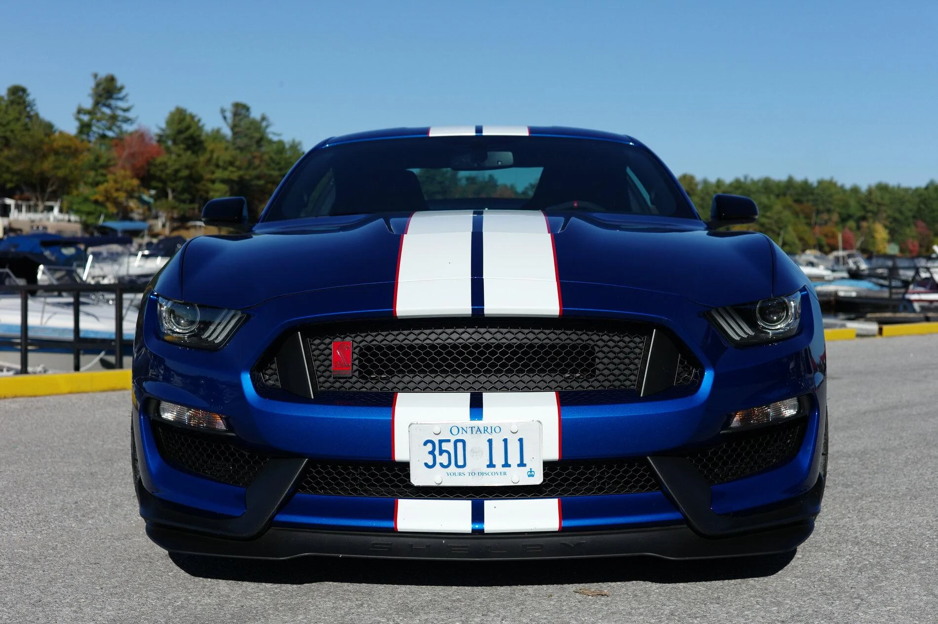 5C8FF42B-9957-4ED7-AB81-810FD3B00544.webp