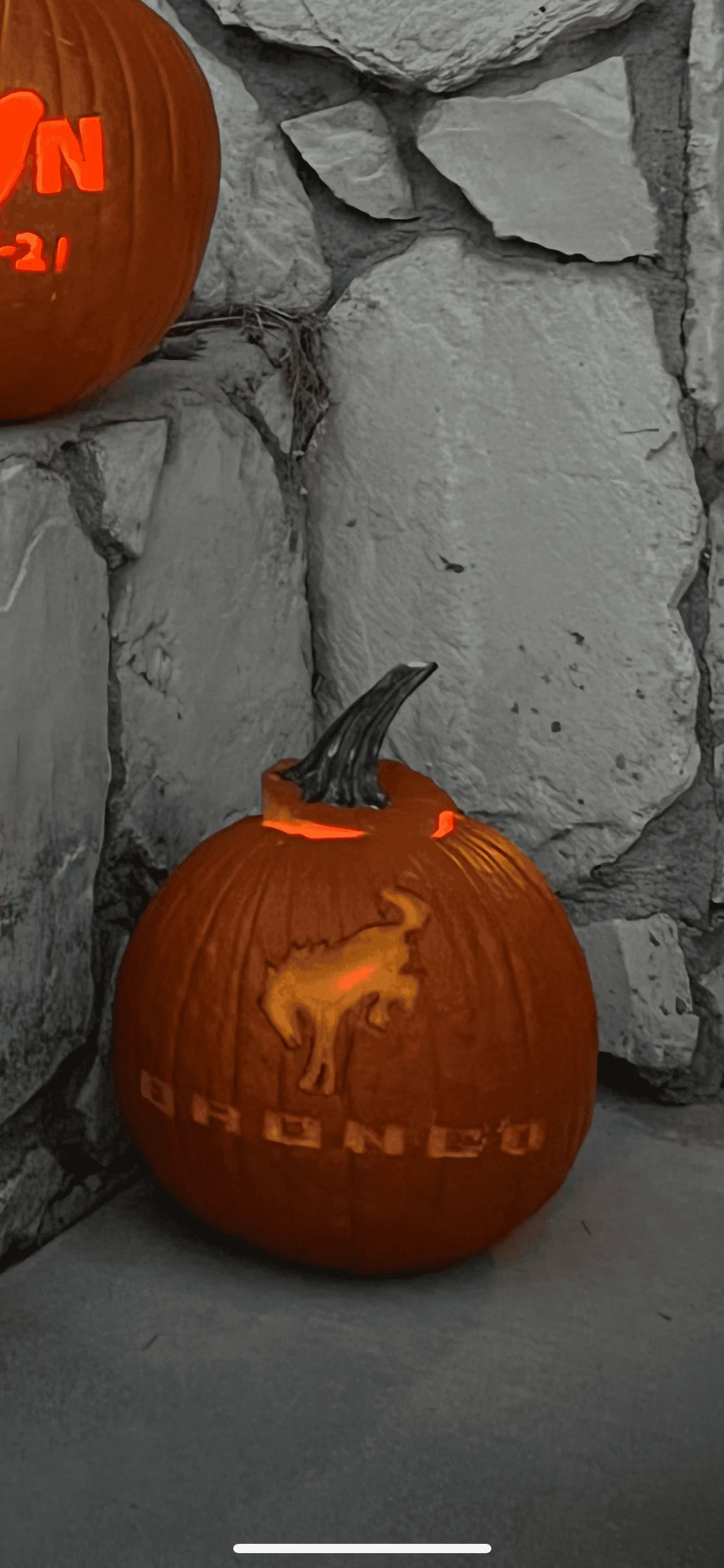 Ford Bronco Ford or Bronco inspired pumpkins? 59A88D2F-8099-4E1E-A77E-10300515D153