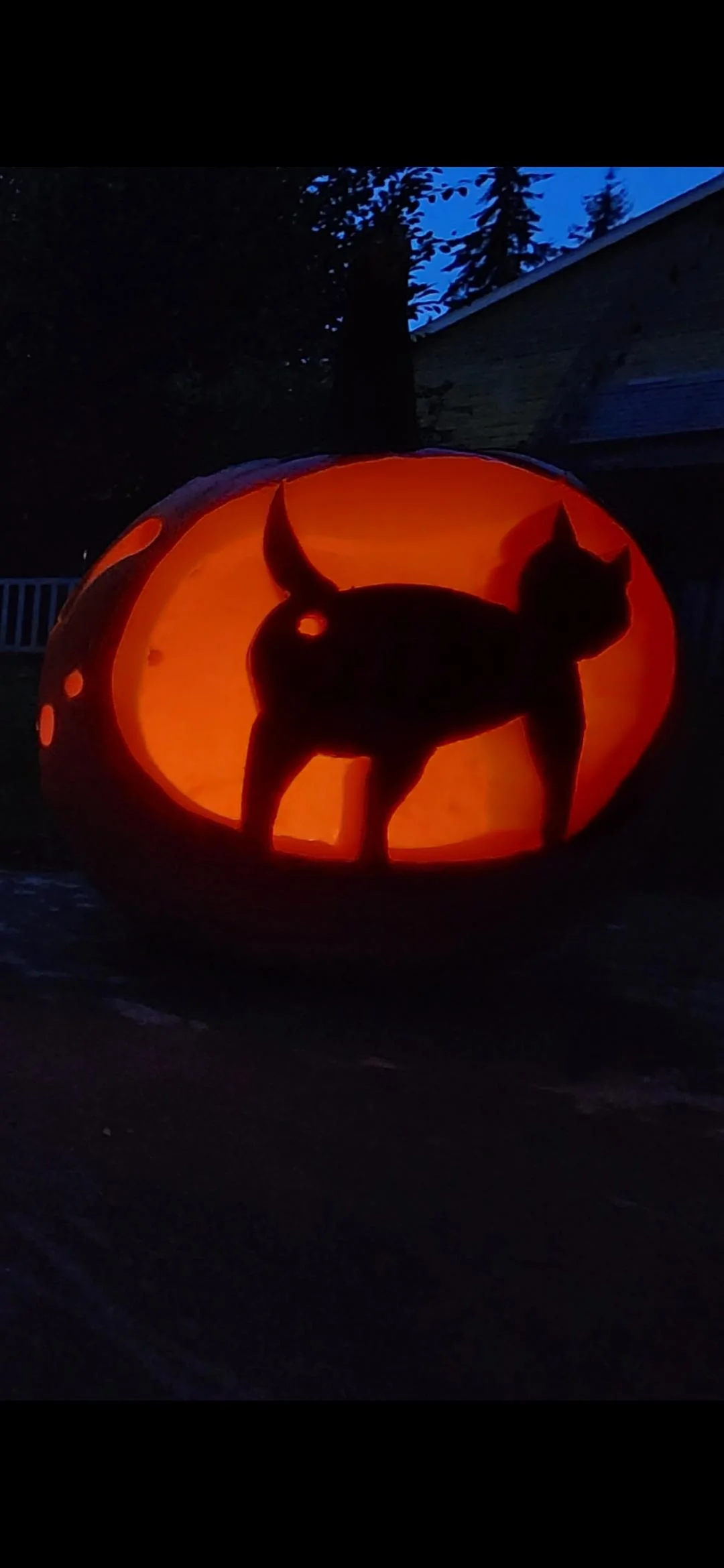 Ford Bronco Ford or Bronco inspired pumpkins? Screenshot_20221031_185356_Gallery