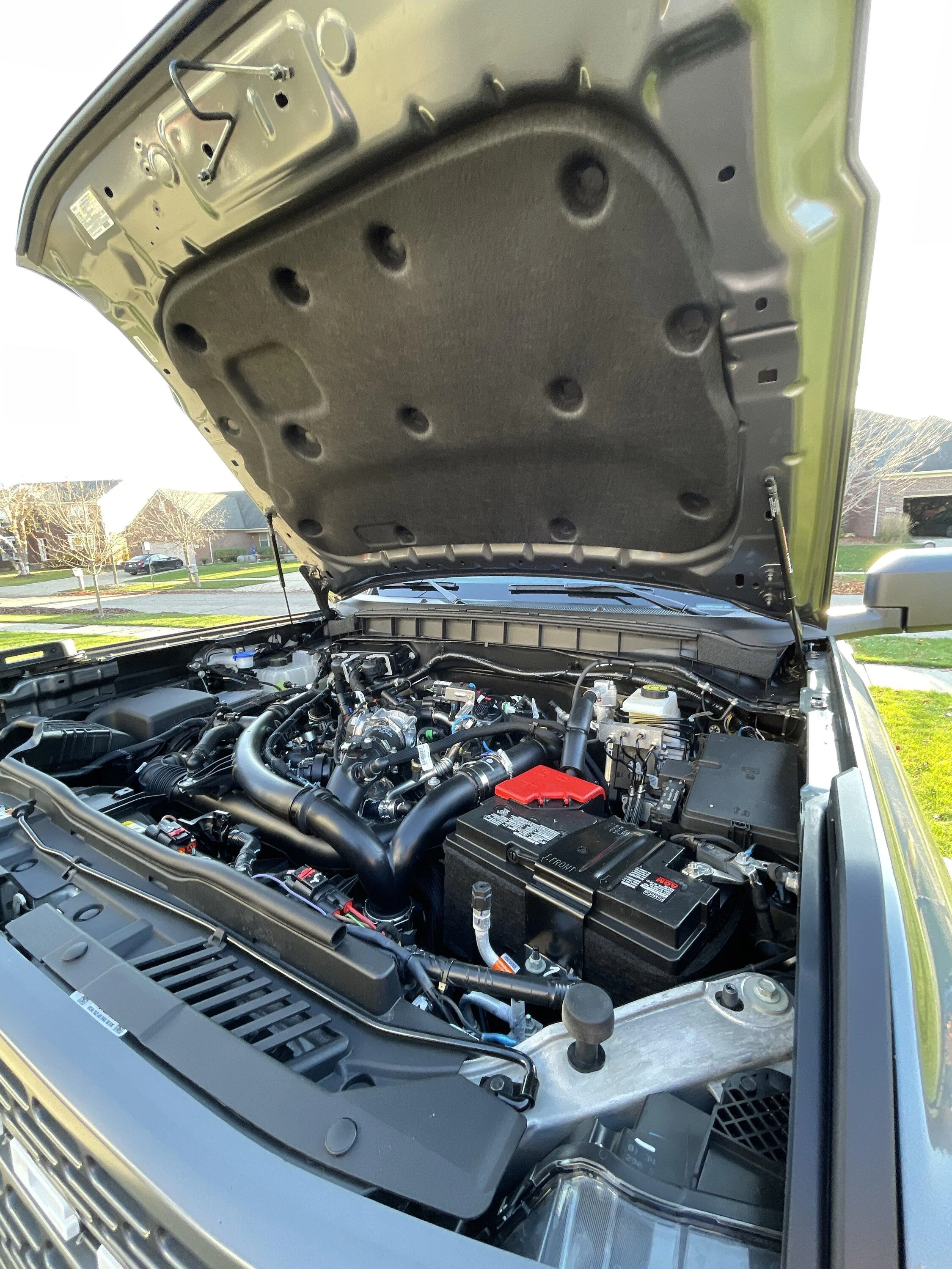 Ford Bronco Hood struts: which ones to get? strut01