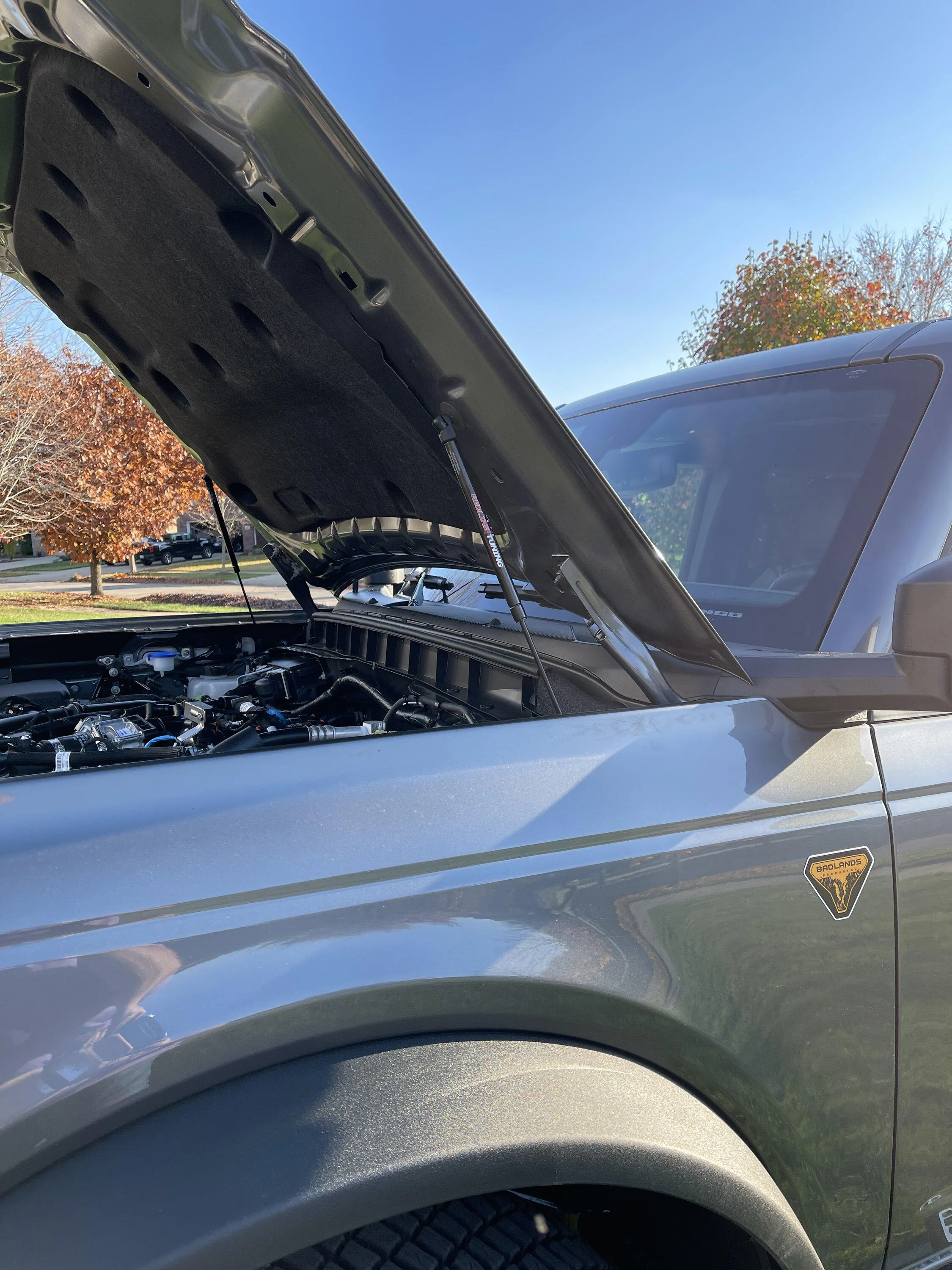 Ford Bronco Hood struts: which ones to get? strut02