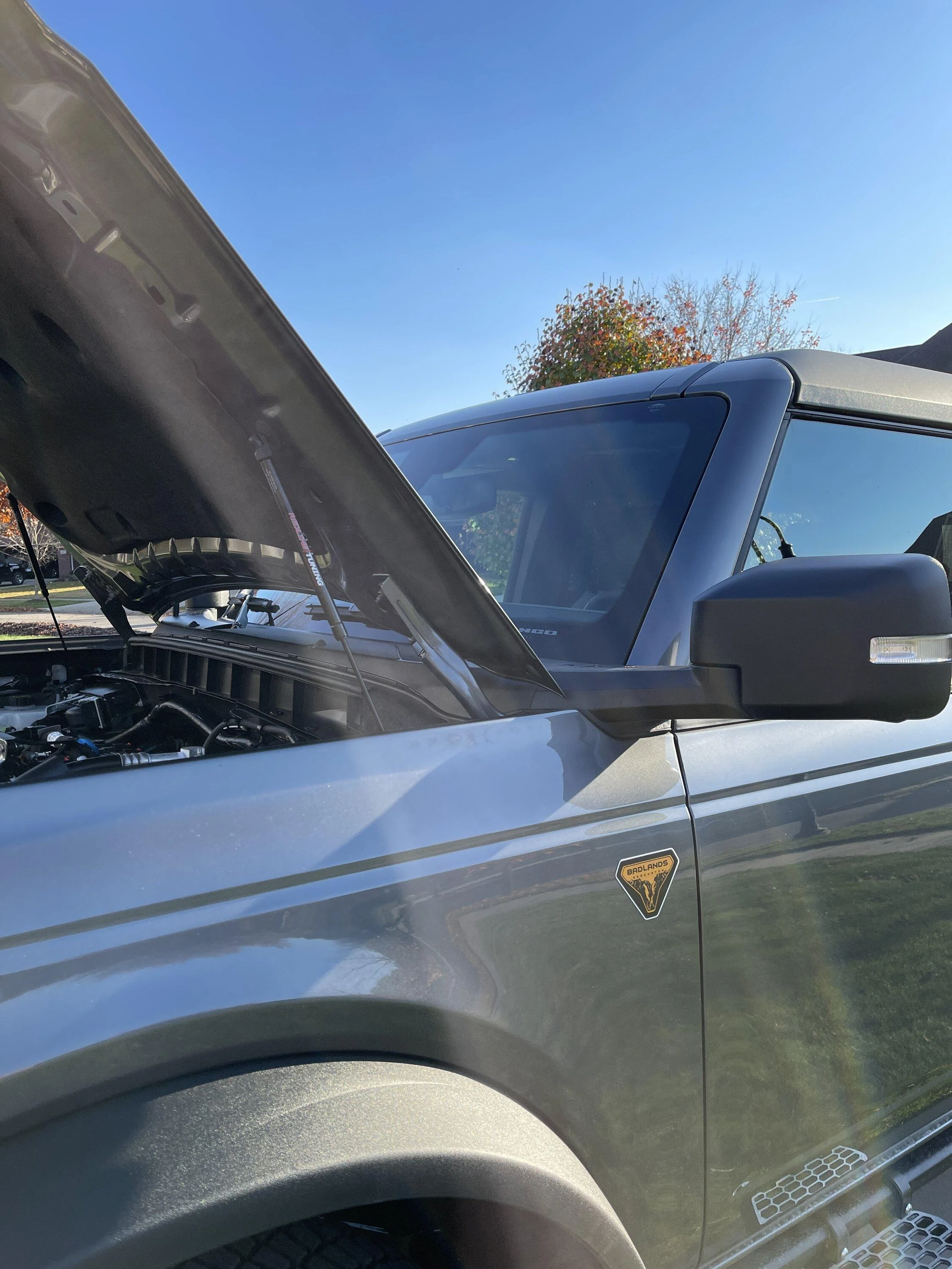 Ford Bronco Hood struts: which ones to get? strut03