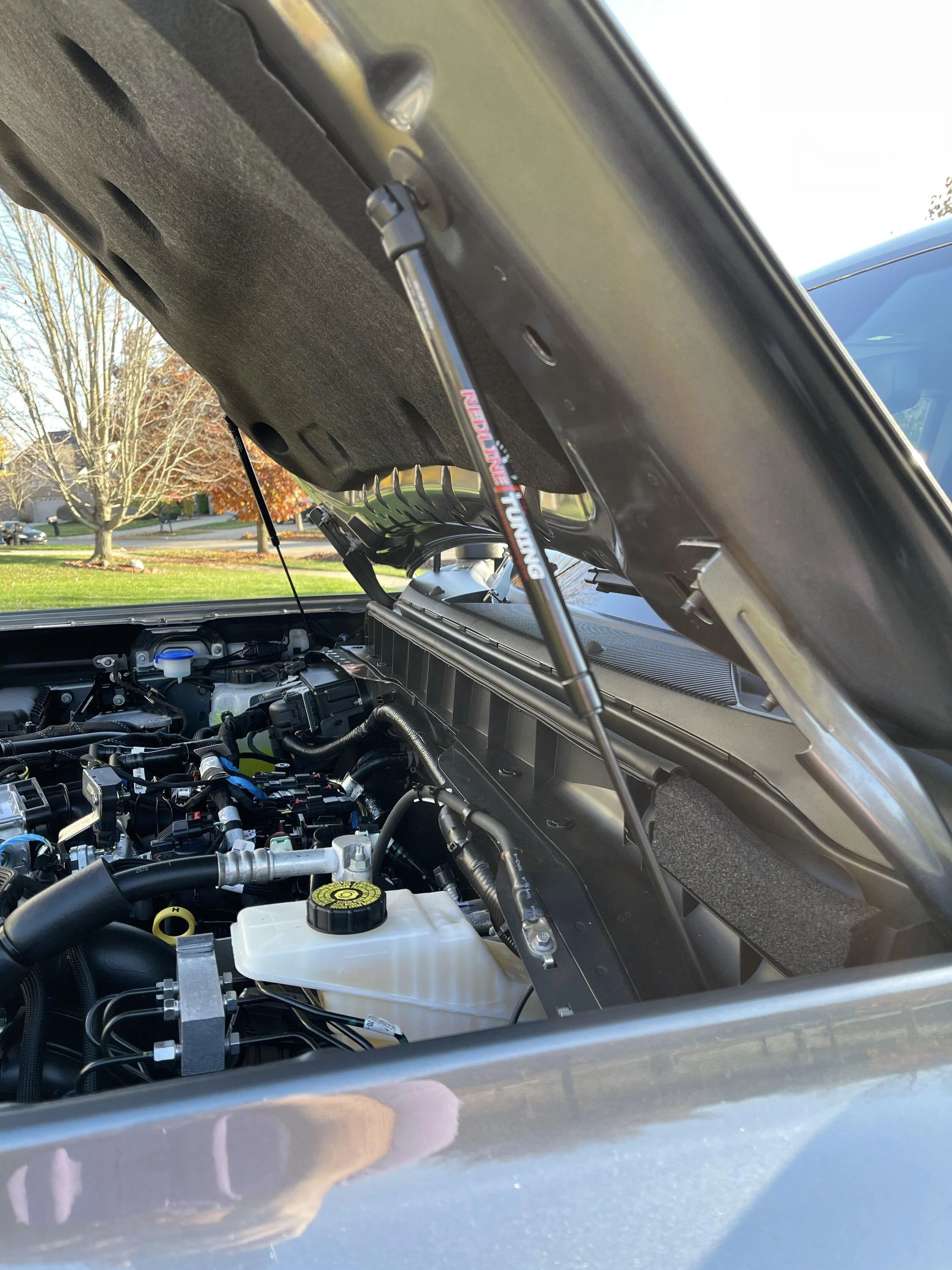 Ford Bronco Hood struts: which ones to get? strut04