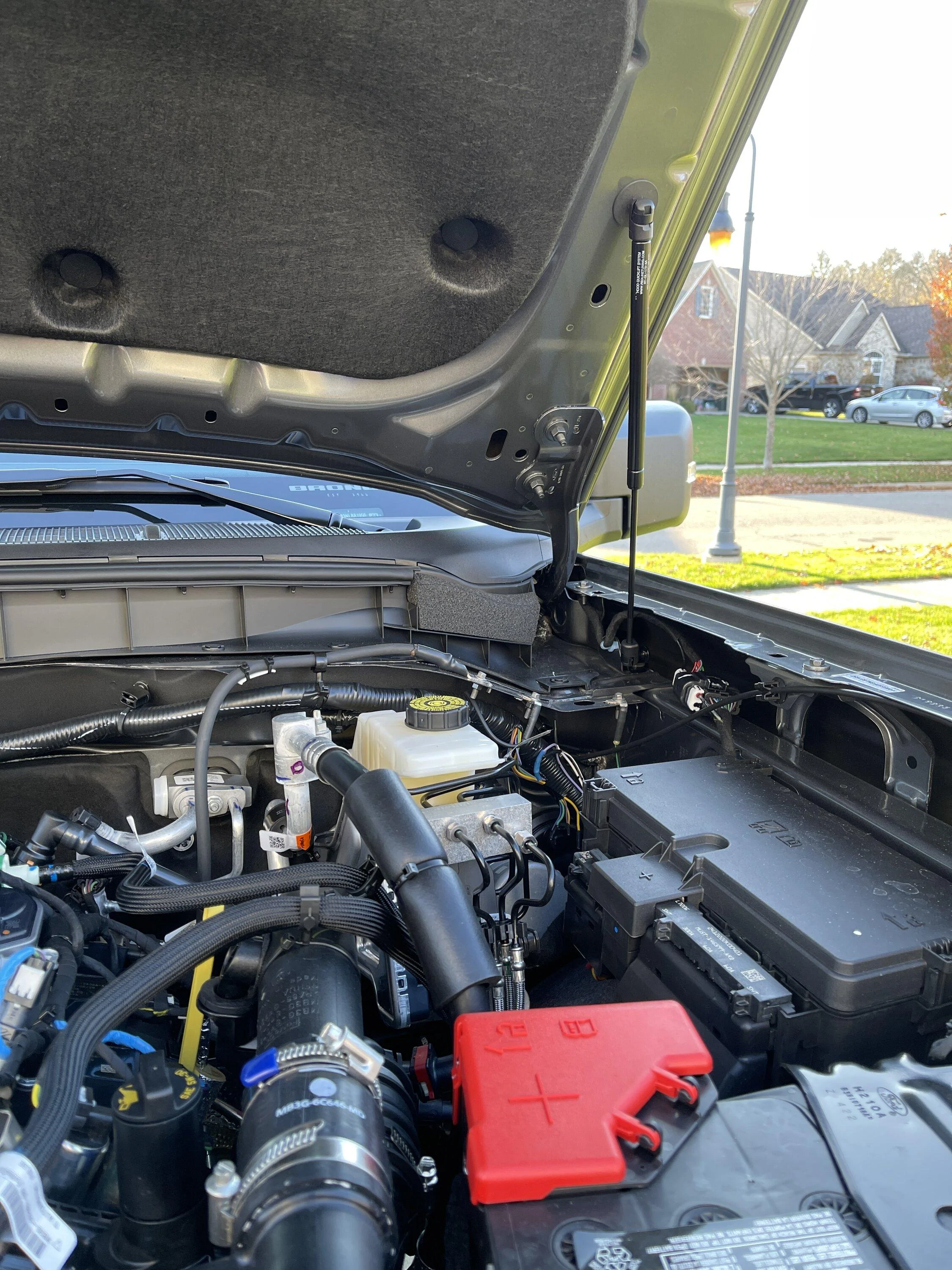 Ford Bronco Hood struts: which ones to get? strut05