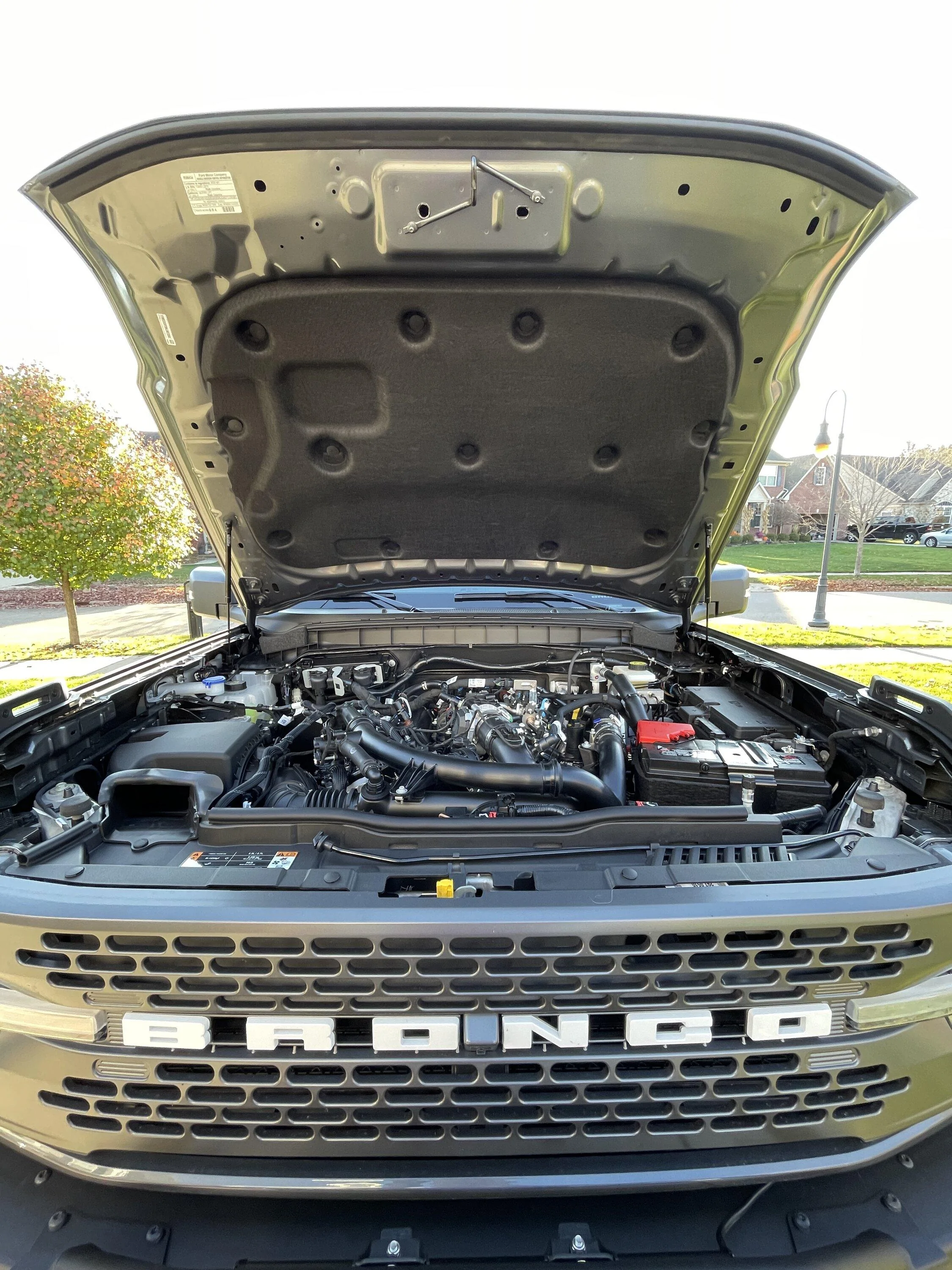 Ford Bronco Hood struts: which ones to get? strut06