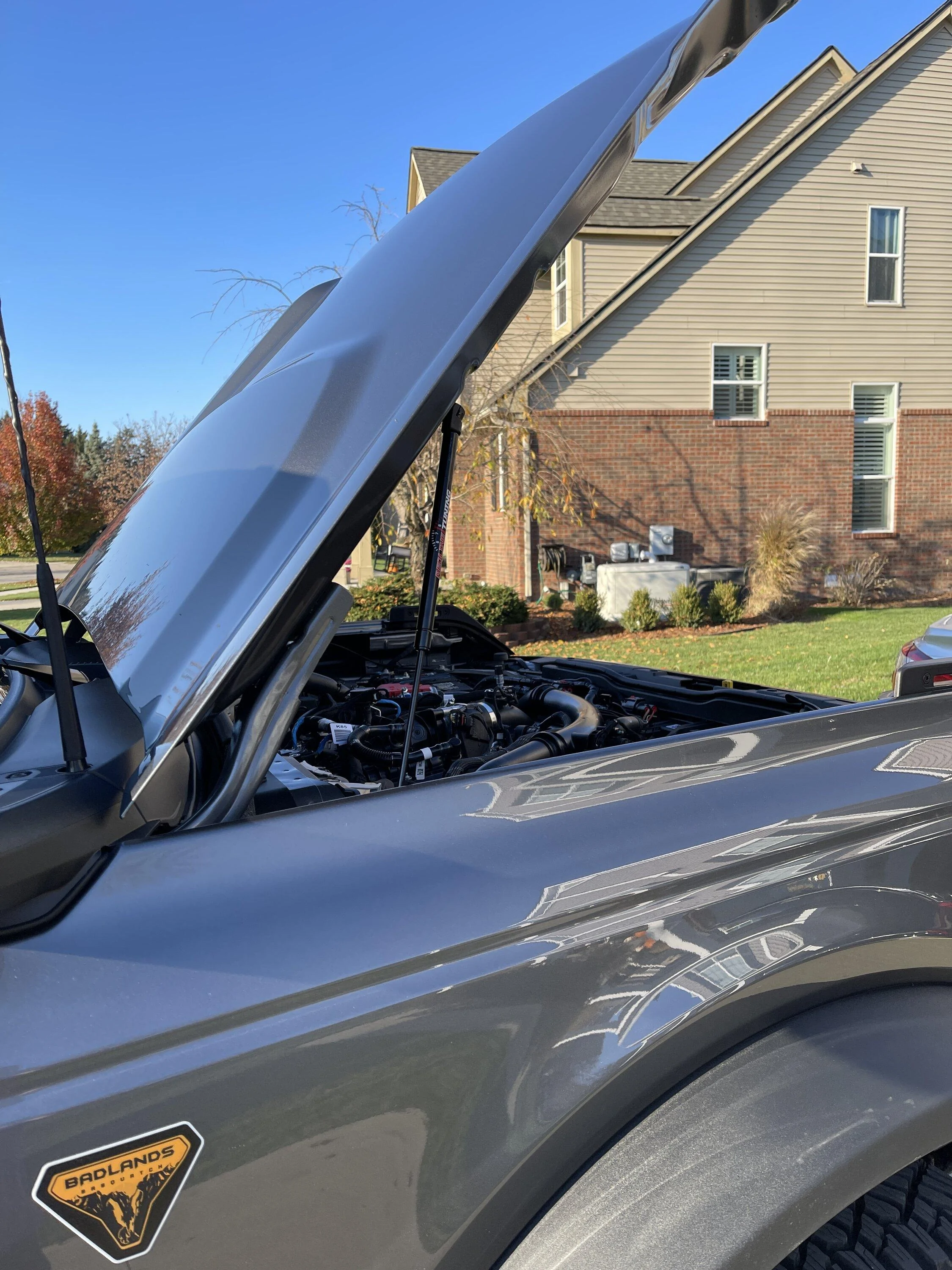 Ford Bronco Hood struts: which ones to get? strut07