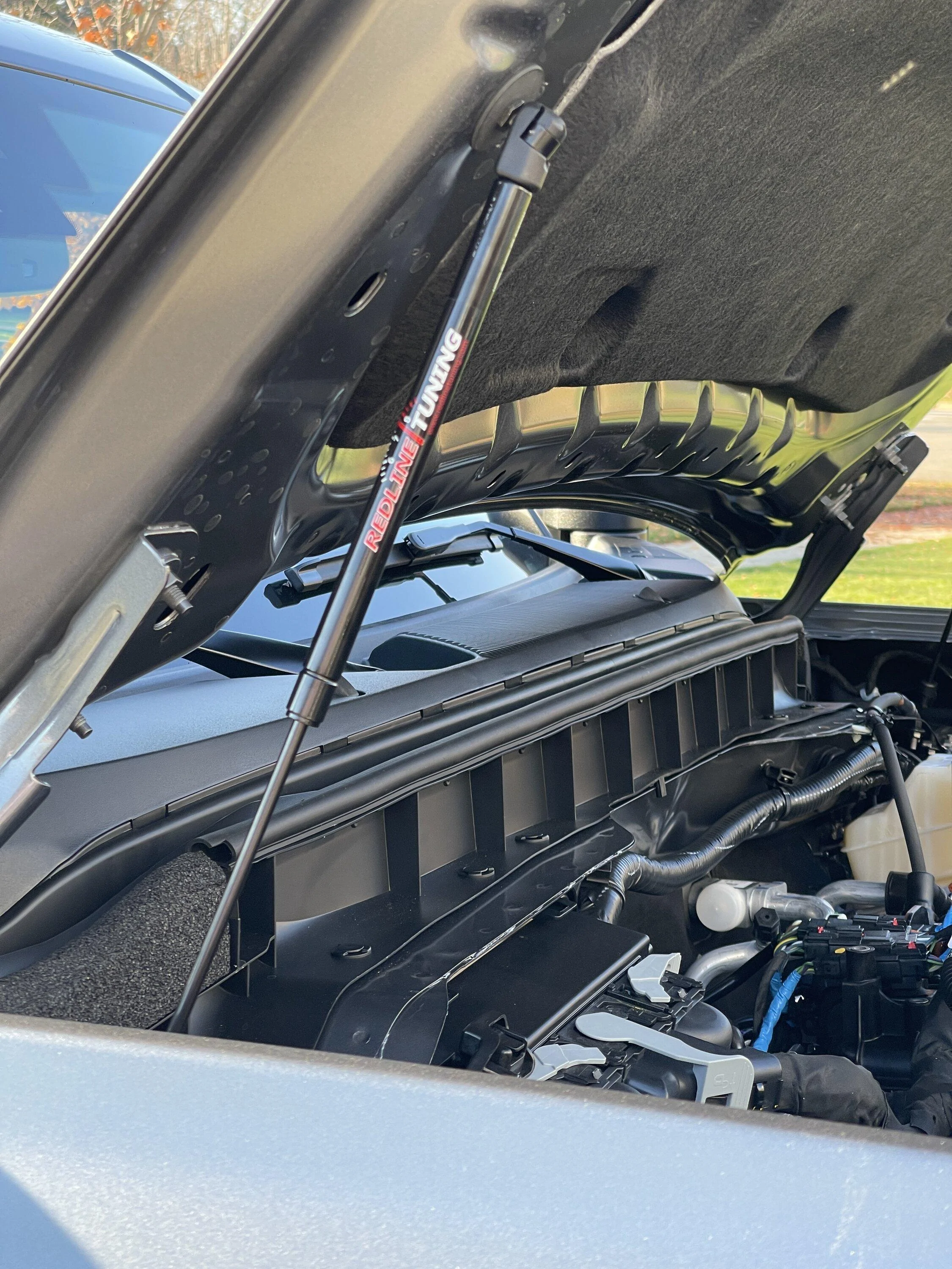 Ford Bronco Hood struts: which ones to get? strut08