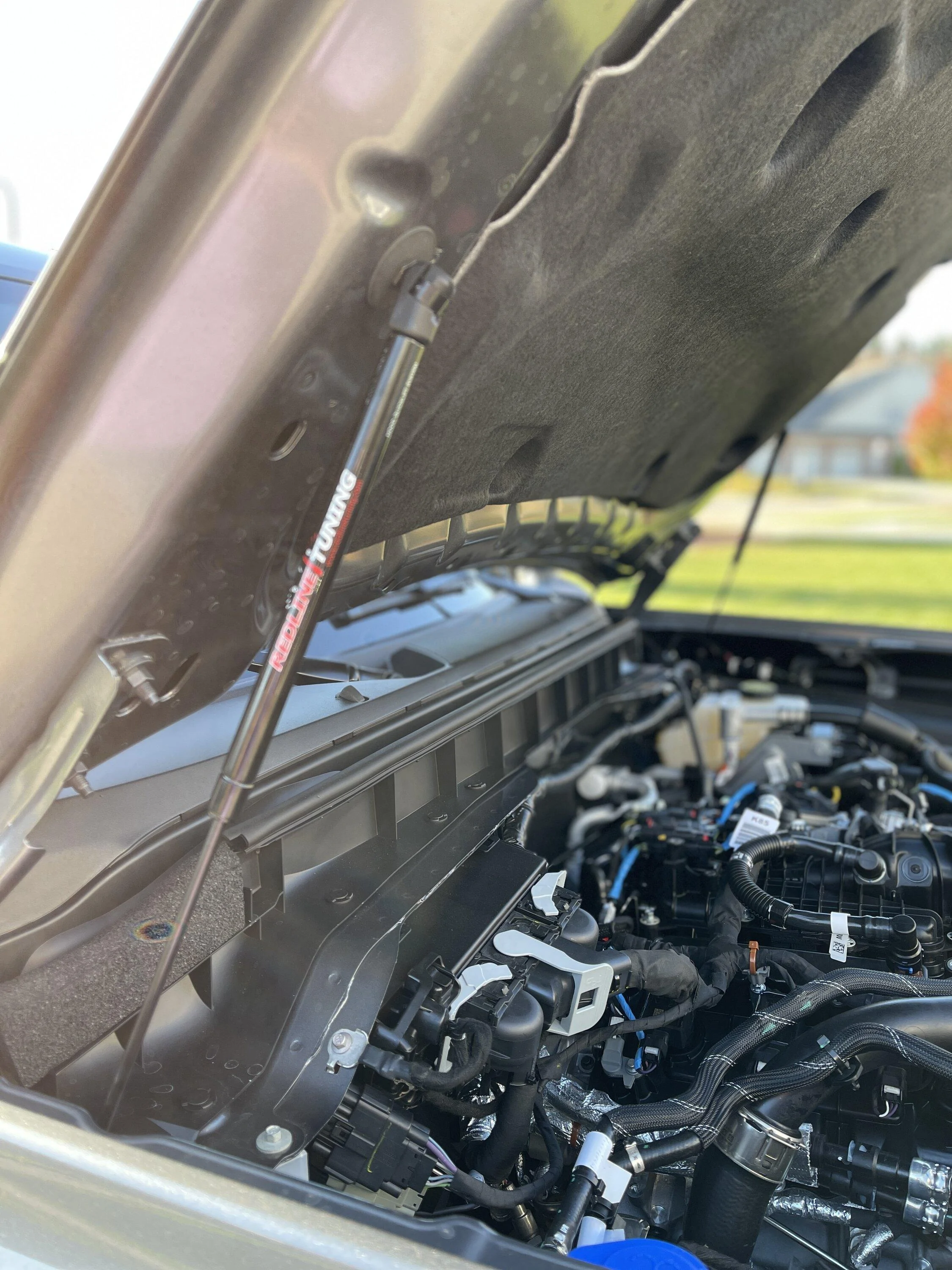 Ford Bronco Hood struts: which ones to get? strut09