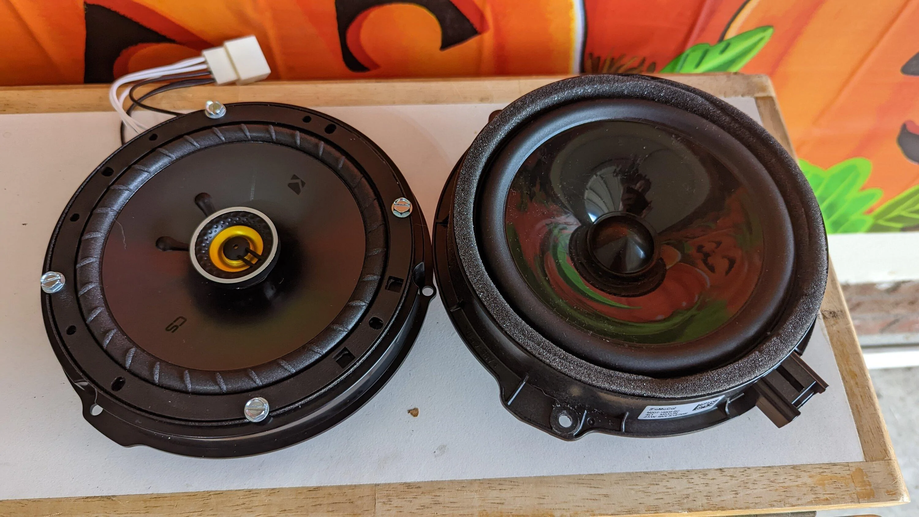 Ford Bronco Jazer's Blu Pony PXL_20221102_154658506