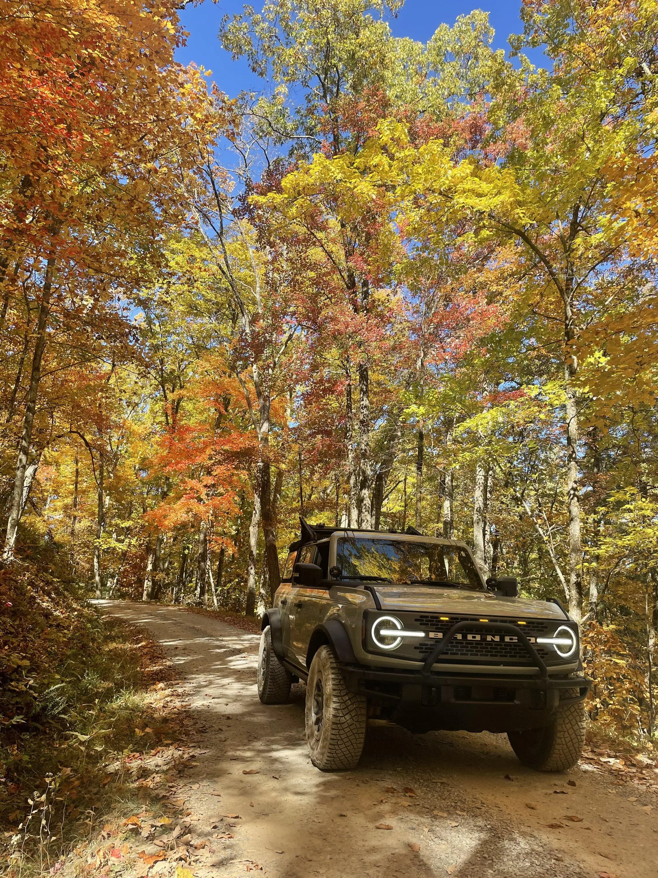 Ford Bronco Let's see your favorite trail photos! 87D37E65-9003-47EB-980C-215FEBCD8EF3