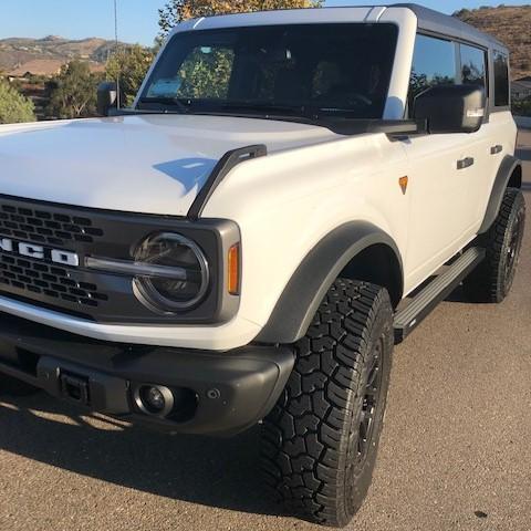 Ford Bronco Hi, need input please FB02