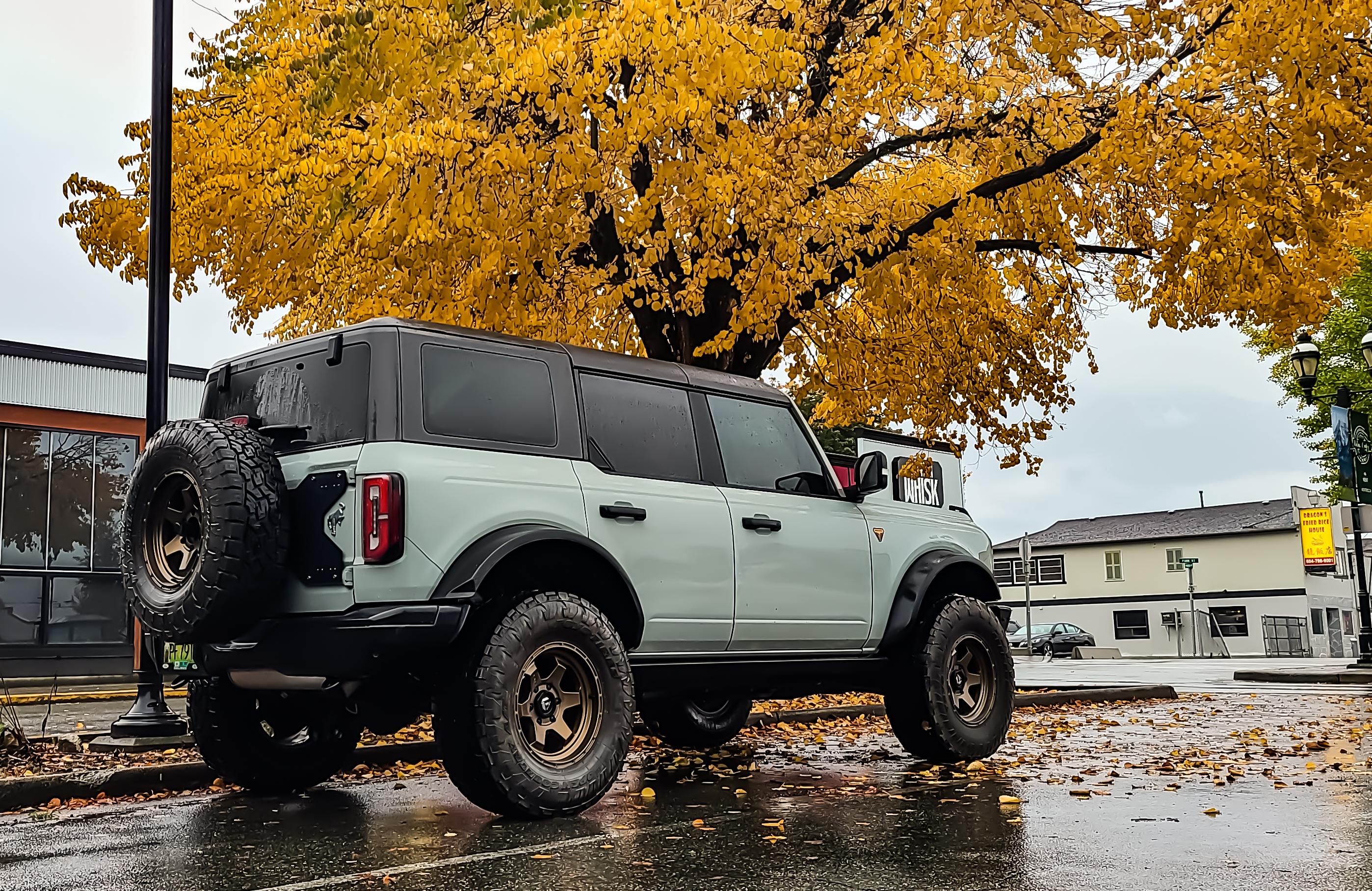 Ford Bronco CACTUS GRAY Bronco Club PSX_20221106_055259