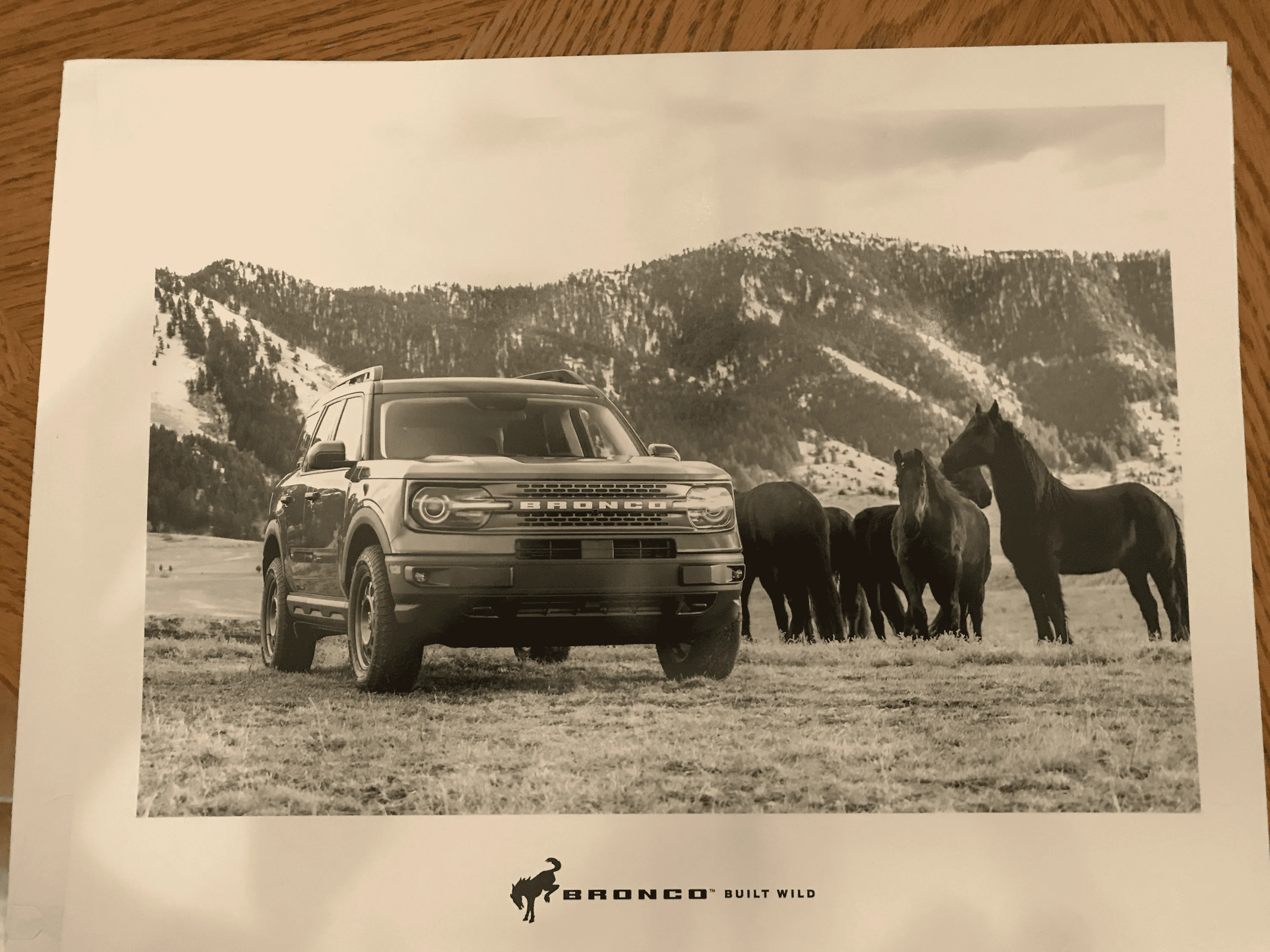 Ford Bronco Finally some official swag! 1668335205628