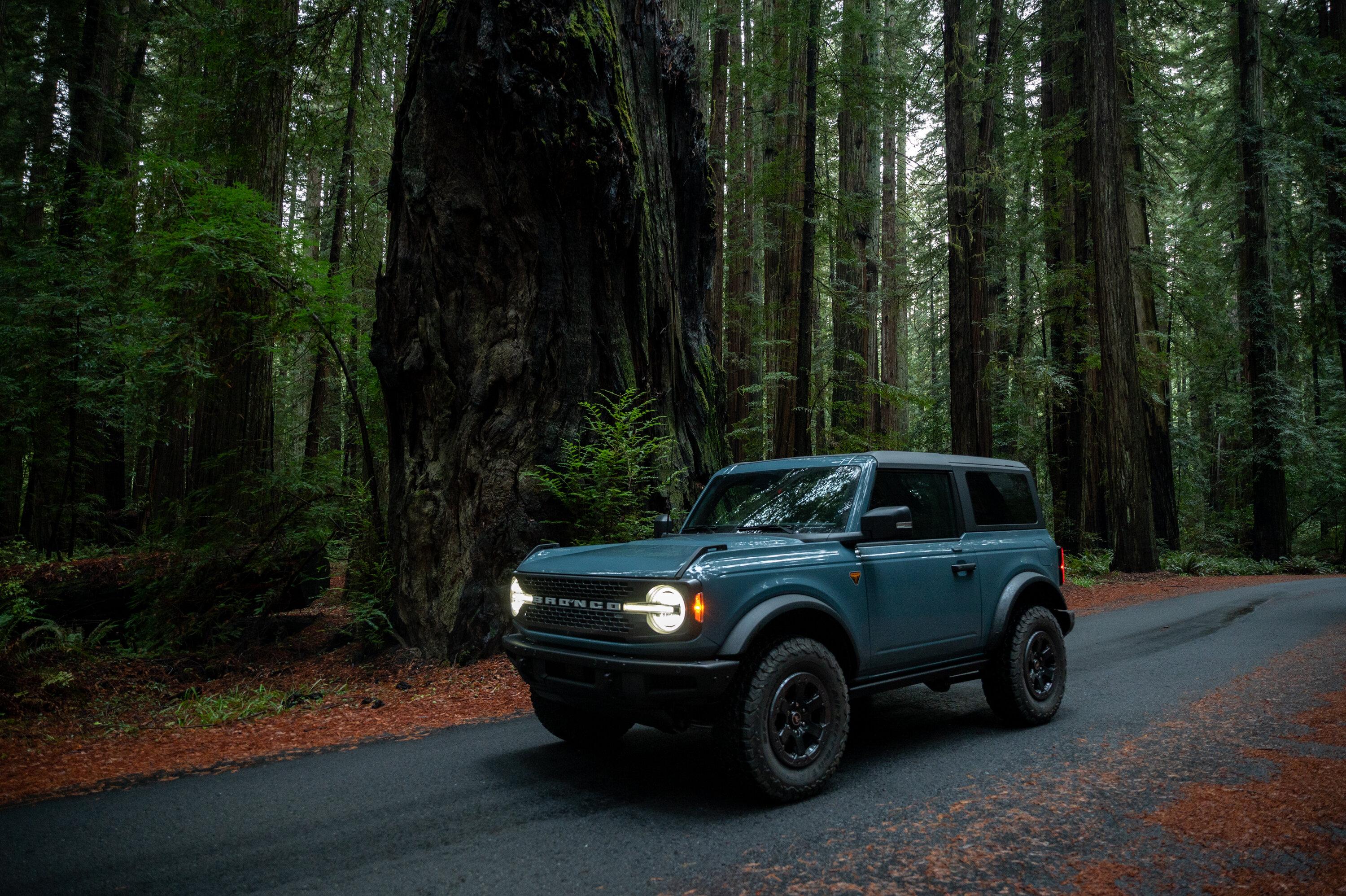Ford Bronco Epic Roadtrip: Oregon to Los Angeles along US 101 & US 1 DSC_5558