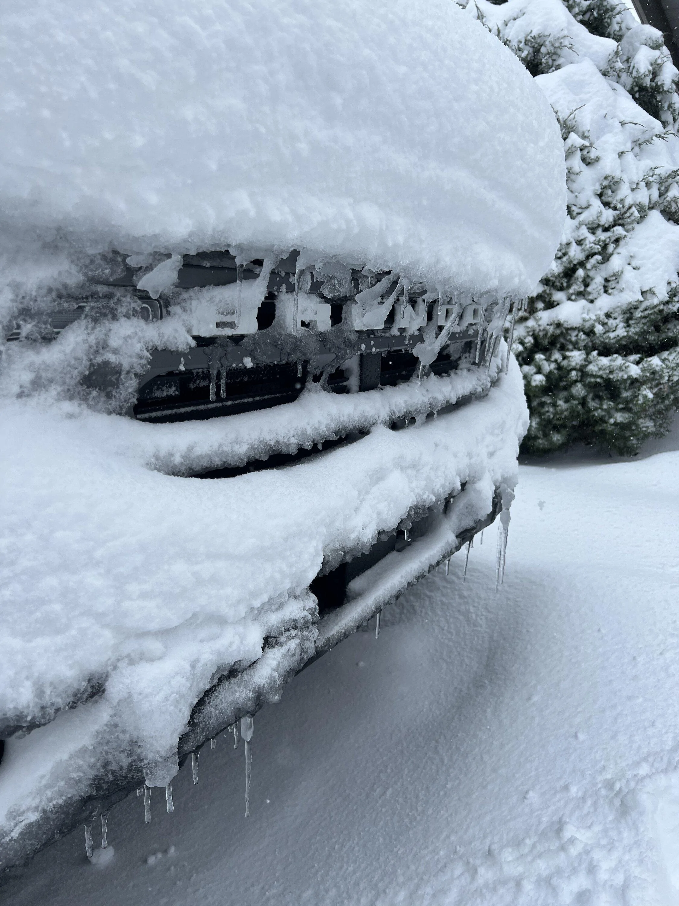 Ford Bronco Show us your Bronco snow pics!! ☃️❄️🥶 5A56FE44-6ADD-413A-9EE8-9BEDAFE18FA4
