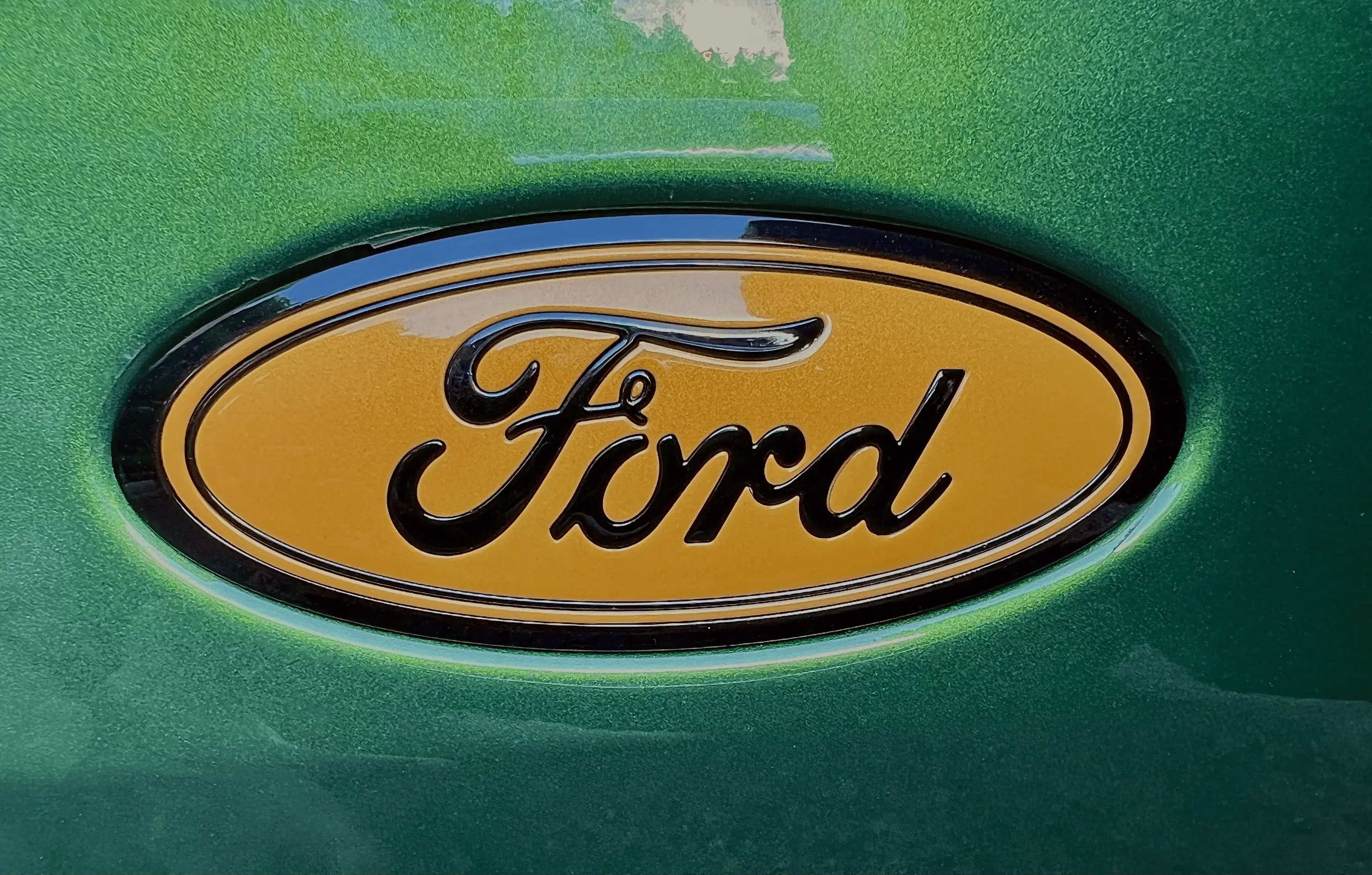 Ford Bronco MUDHORN: My 2-Door 7speed NonSquatch Badlands Eruption Green Build tempImagehampnz