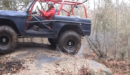 Ford Bronco What is the Image? TanIllfatedGelada-size_restricted
